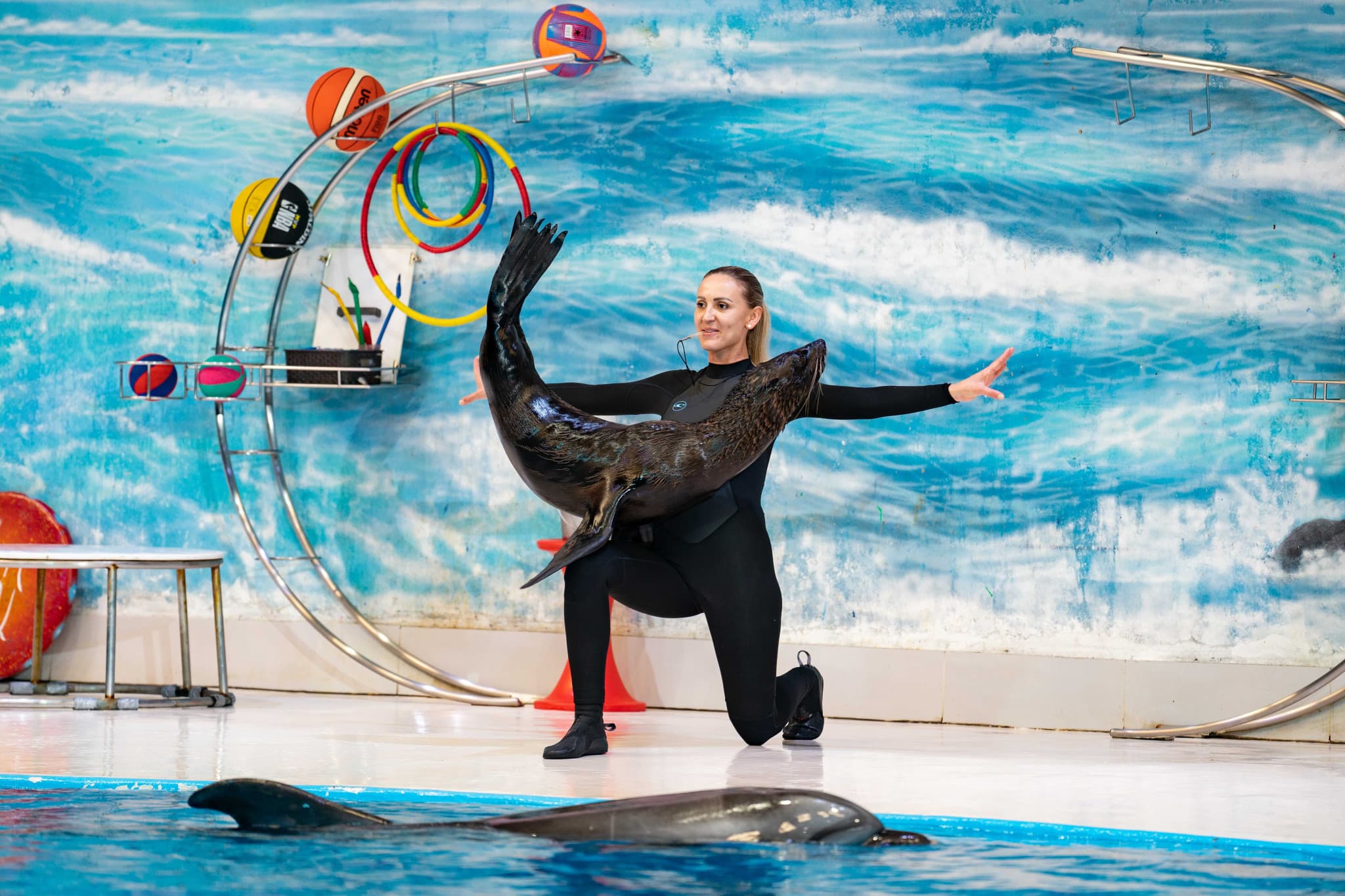 Dubai Dolphinarium Ticket - image 9