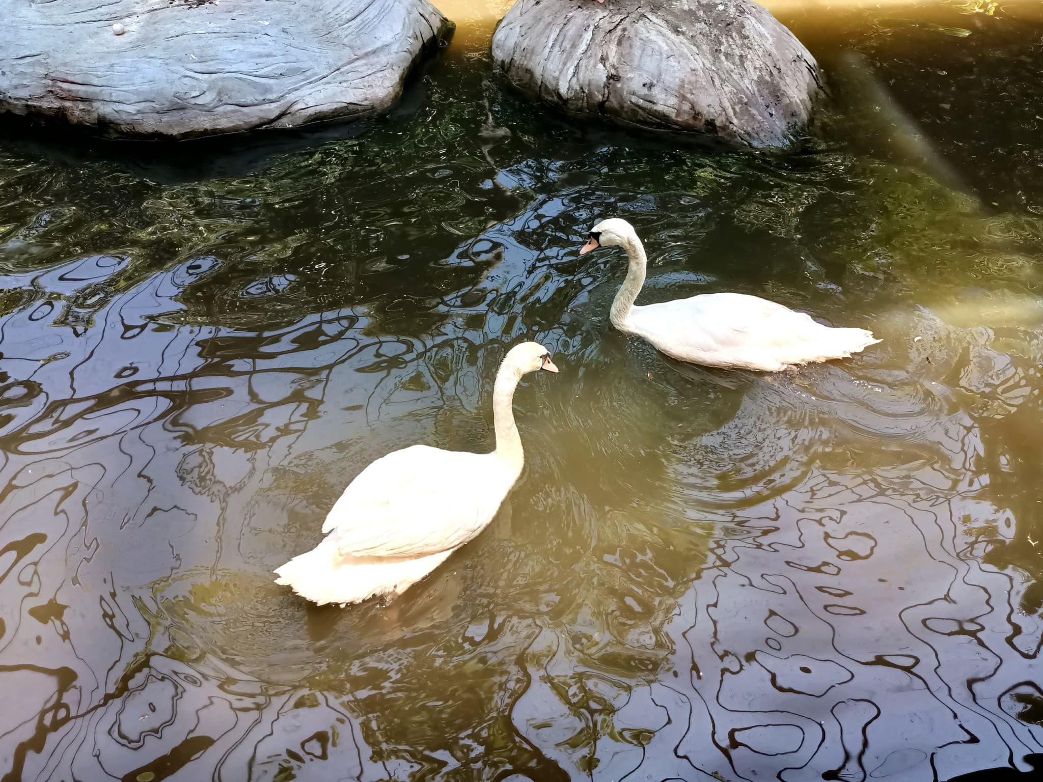 Langkawi Wildlife Park - image 13
