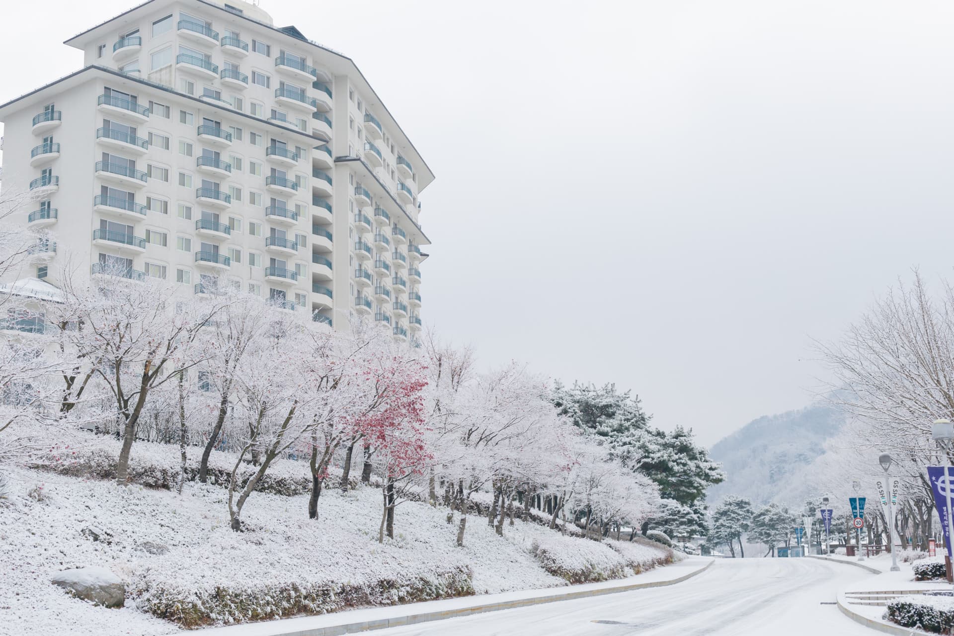 Elysian Gangchon Ski Resort and Eobi Ice Valley Full-Day Tour from Seoul - image 11