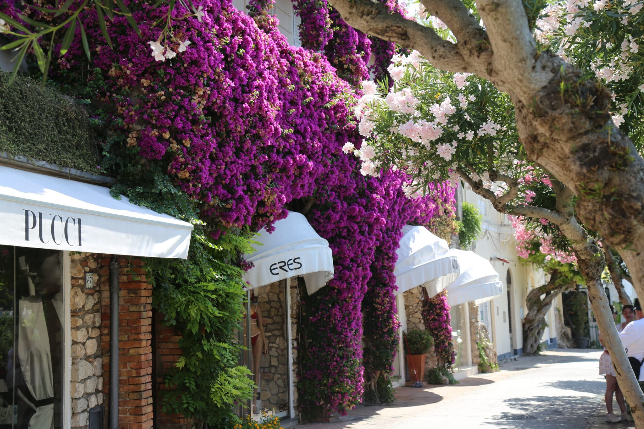 Tour of Capri & Anacapri with Blue Grotto from Naples - image 8