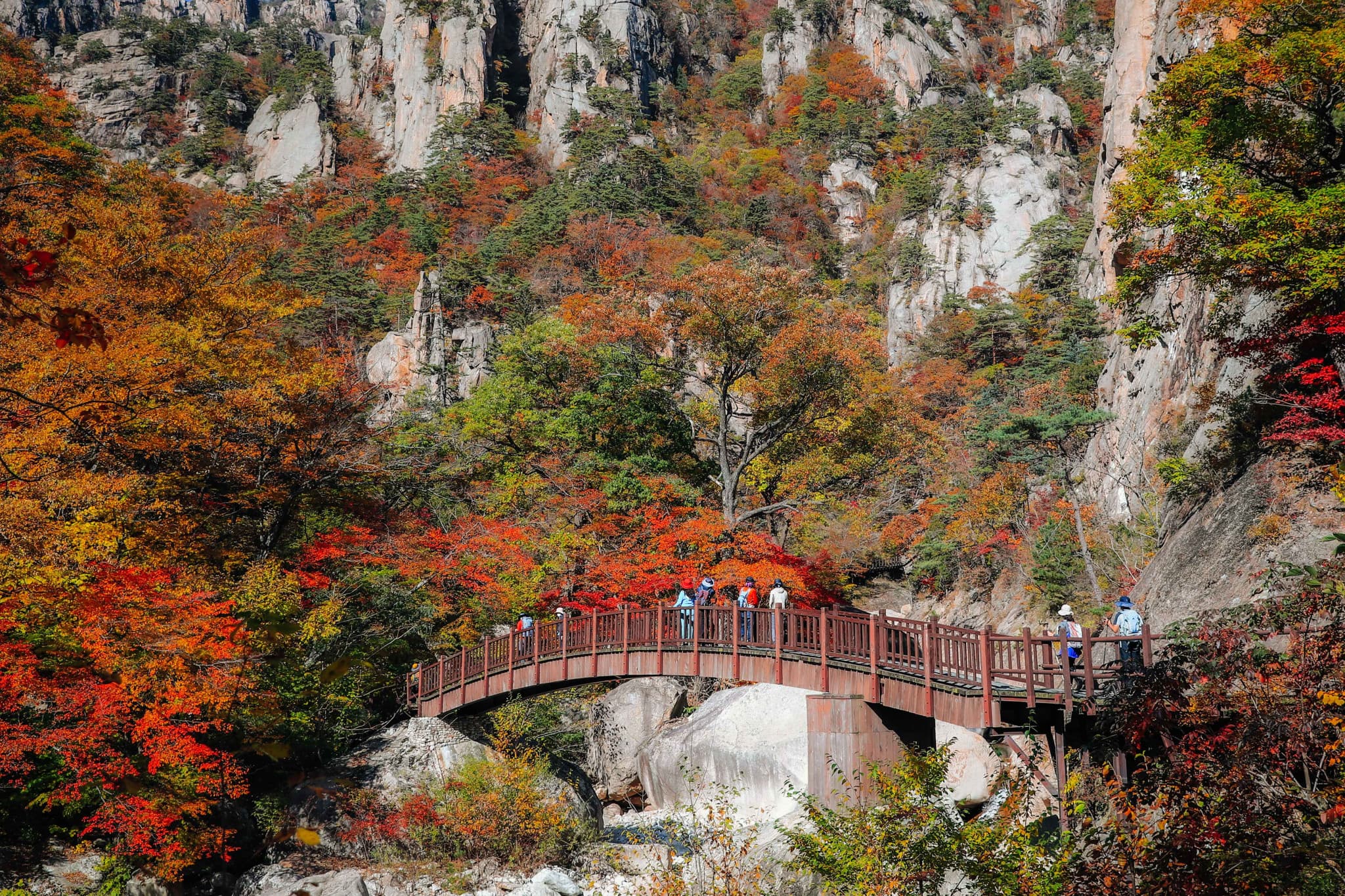Nami Island, Mount Seorak, and Gapyeong Rail Bike Full-Day Tour from Seoul - image 3