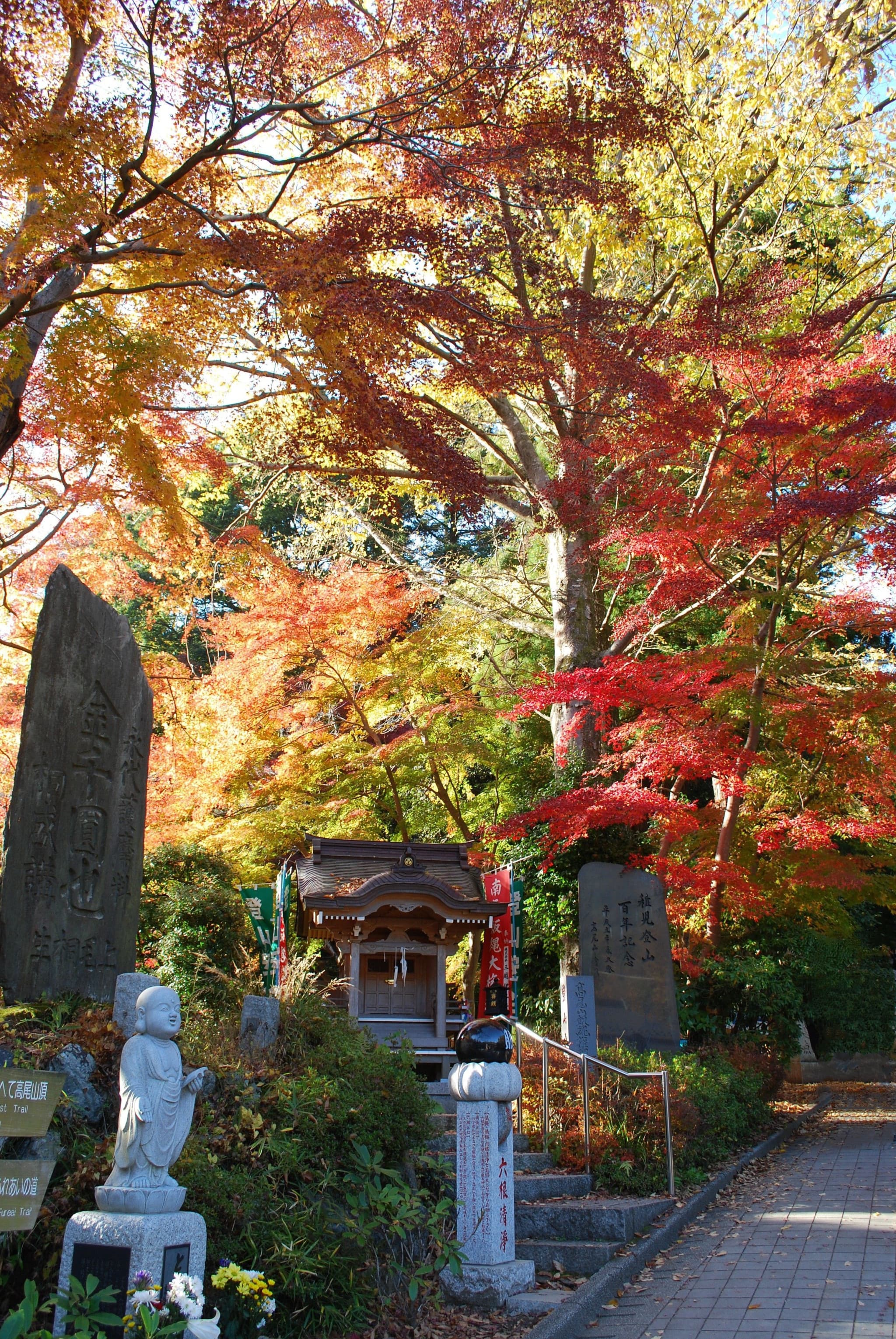 Greater Tokyo Pass - image 11