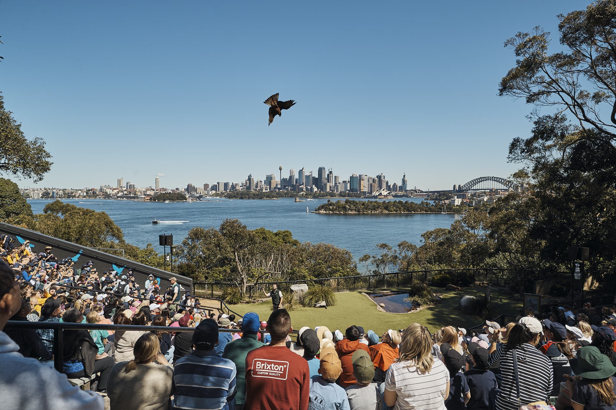 Go City Sydney All-Inclusive Pass: Save up to 50% on Attractions - image 11