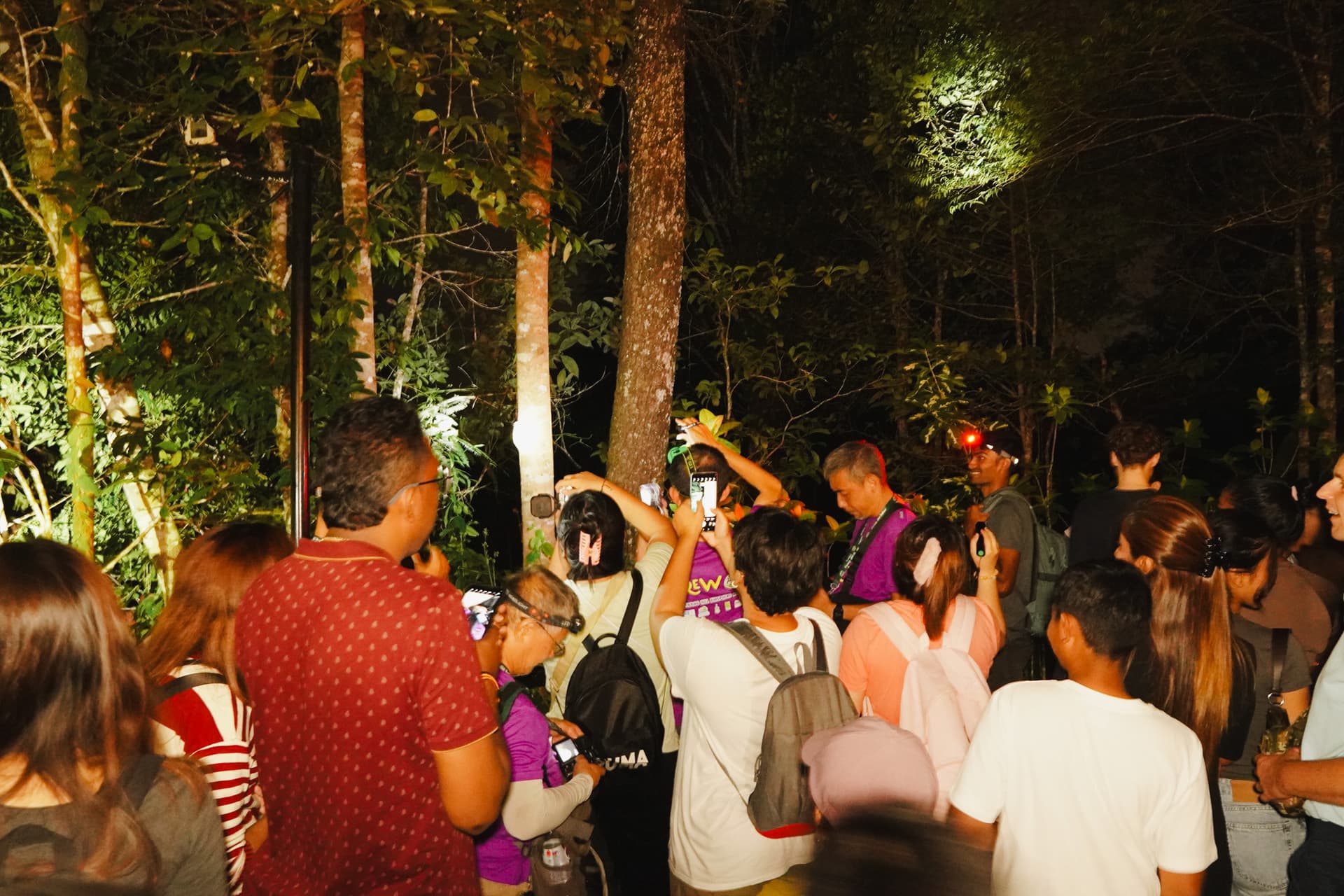 The Habitat Penang Hill Ticket - image 27