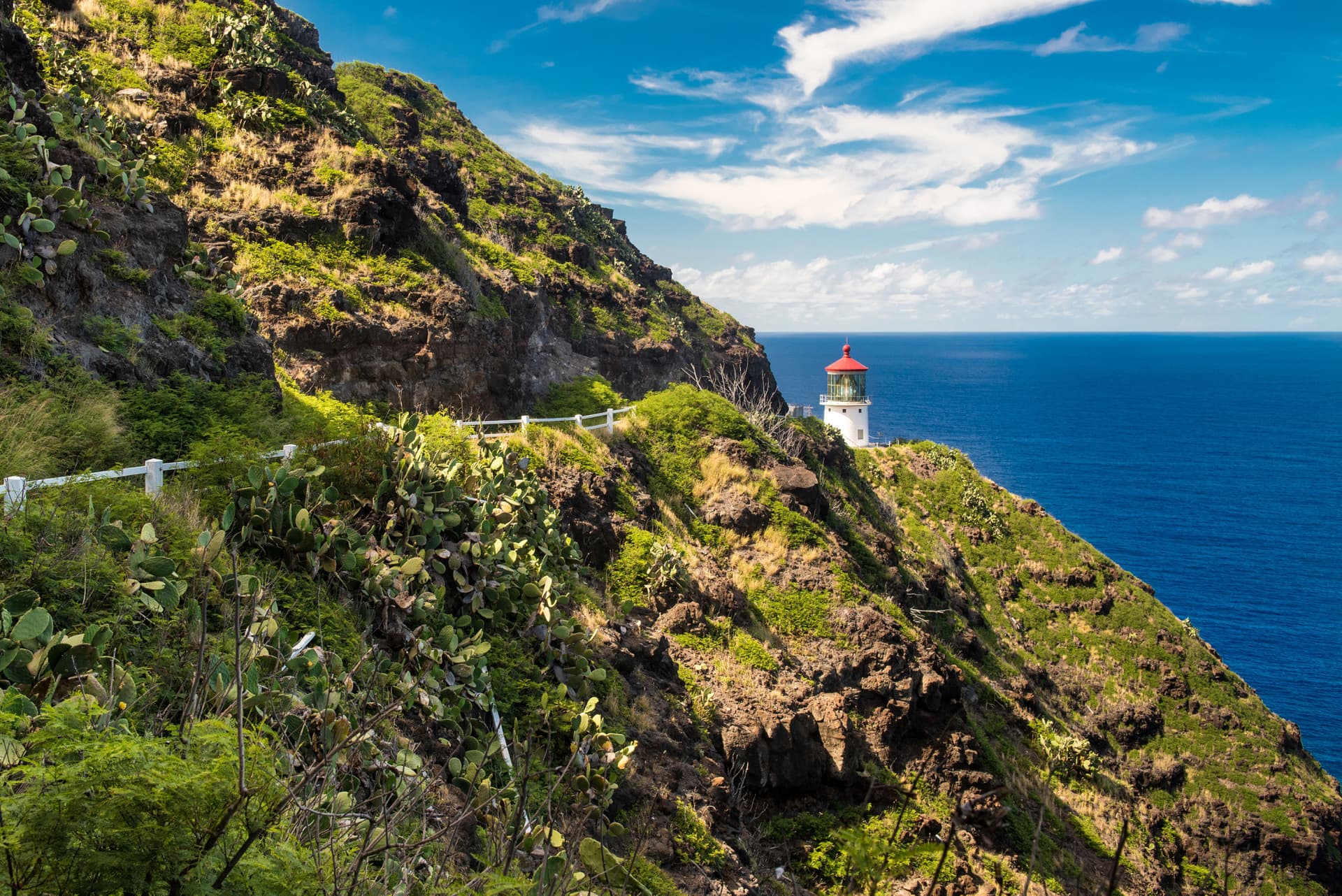 Go City Oahu Explorer Pass: Save up to 50% on Attractions - image 7