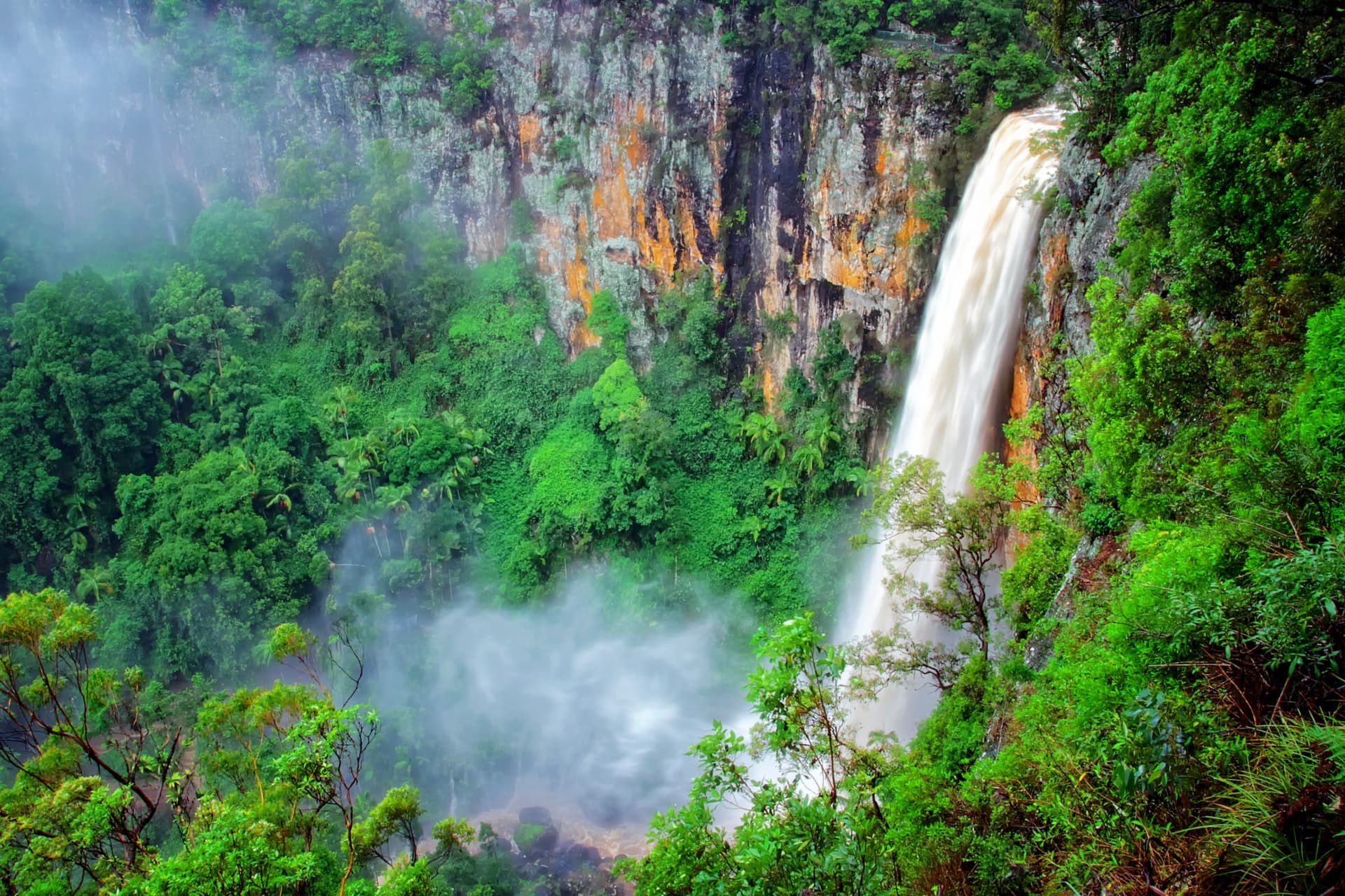 Springbrook National Park Tour: Natural Bridge and Waterfalls - image 2