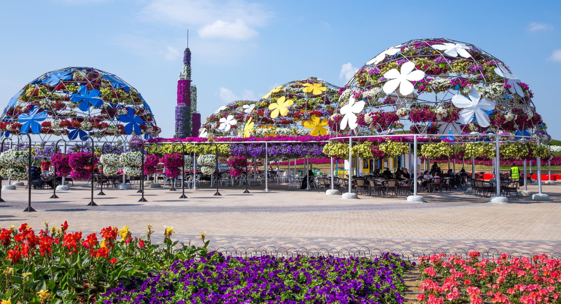 Entrada para Dubai Miracle Garden - imagen 4