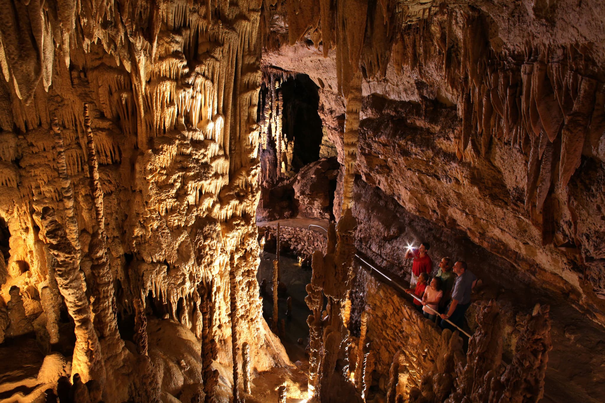 Go City San Antonio Highlights Pass: 3 Attractions - image 19