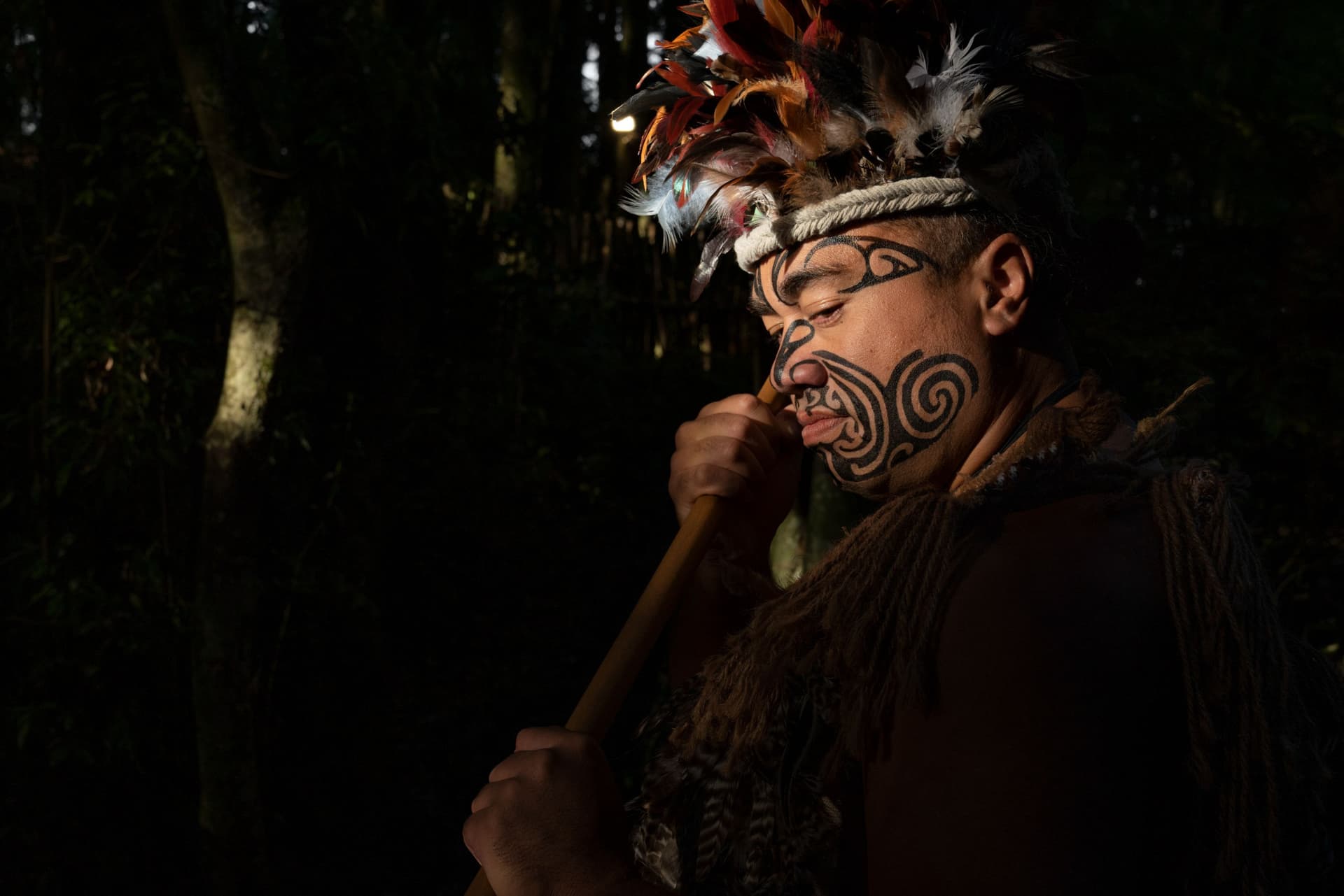 Maori Cultural Experience at Te Pa Tu Village - image 3