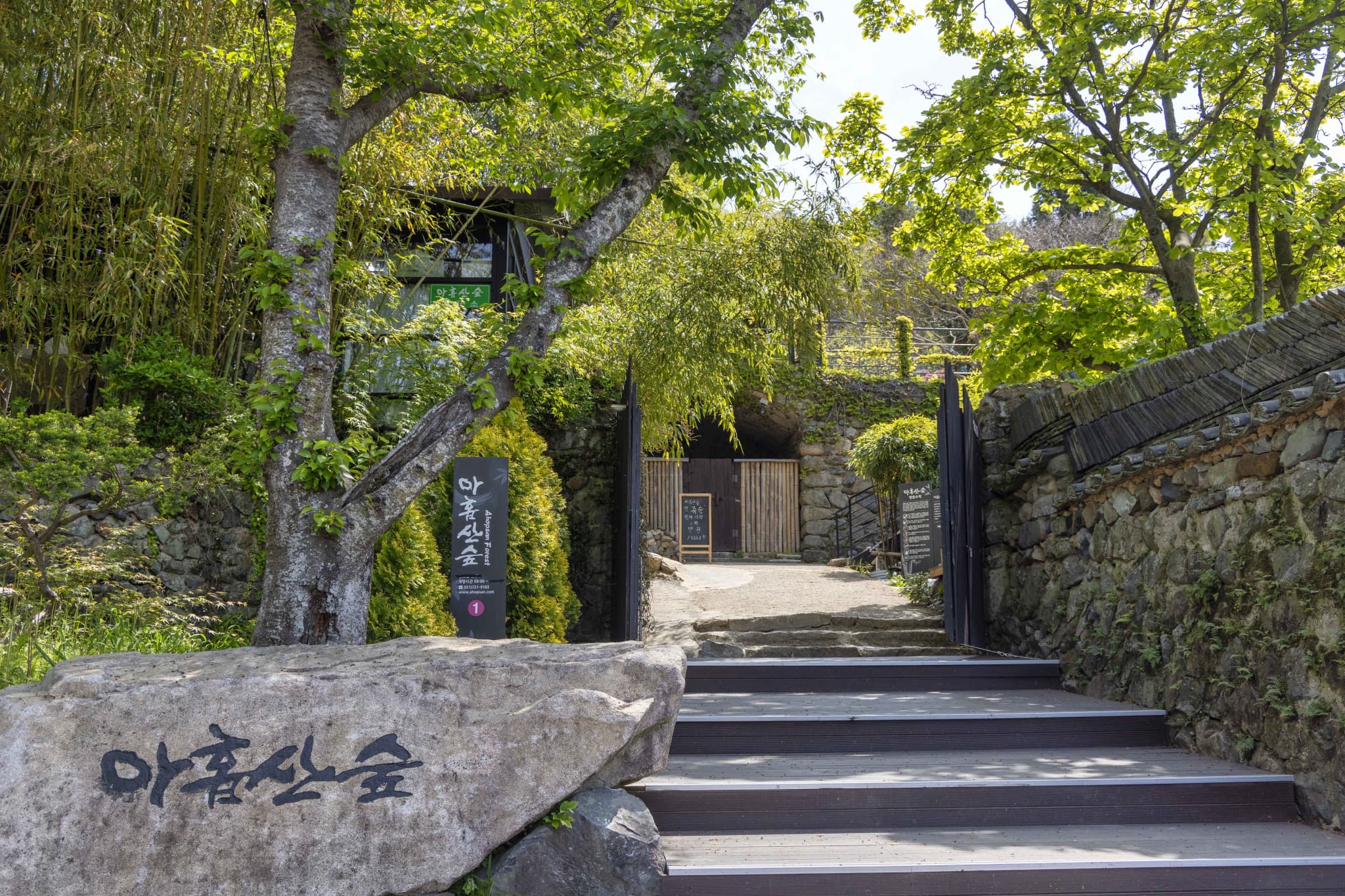 Busan Local Life Tour: Bamboo Forest, Haedongyonggungsa Temple, Gamcheon Culture Village - image 2