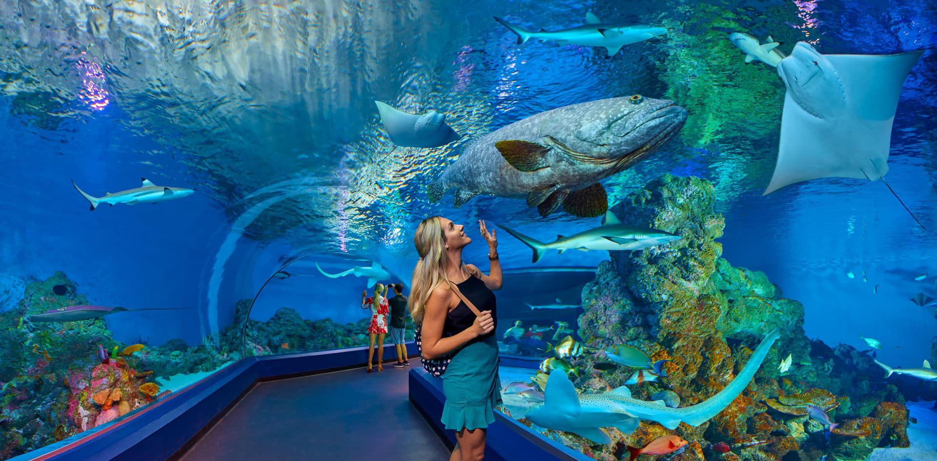 Entrada para Cairns Aquarium - imagen principal