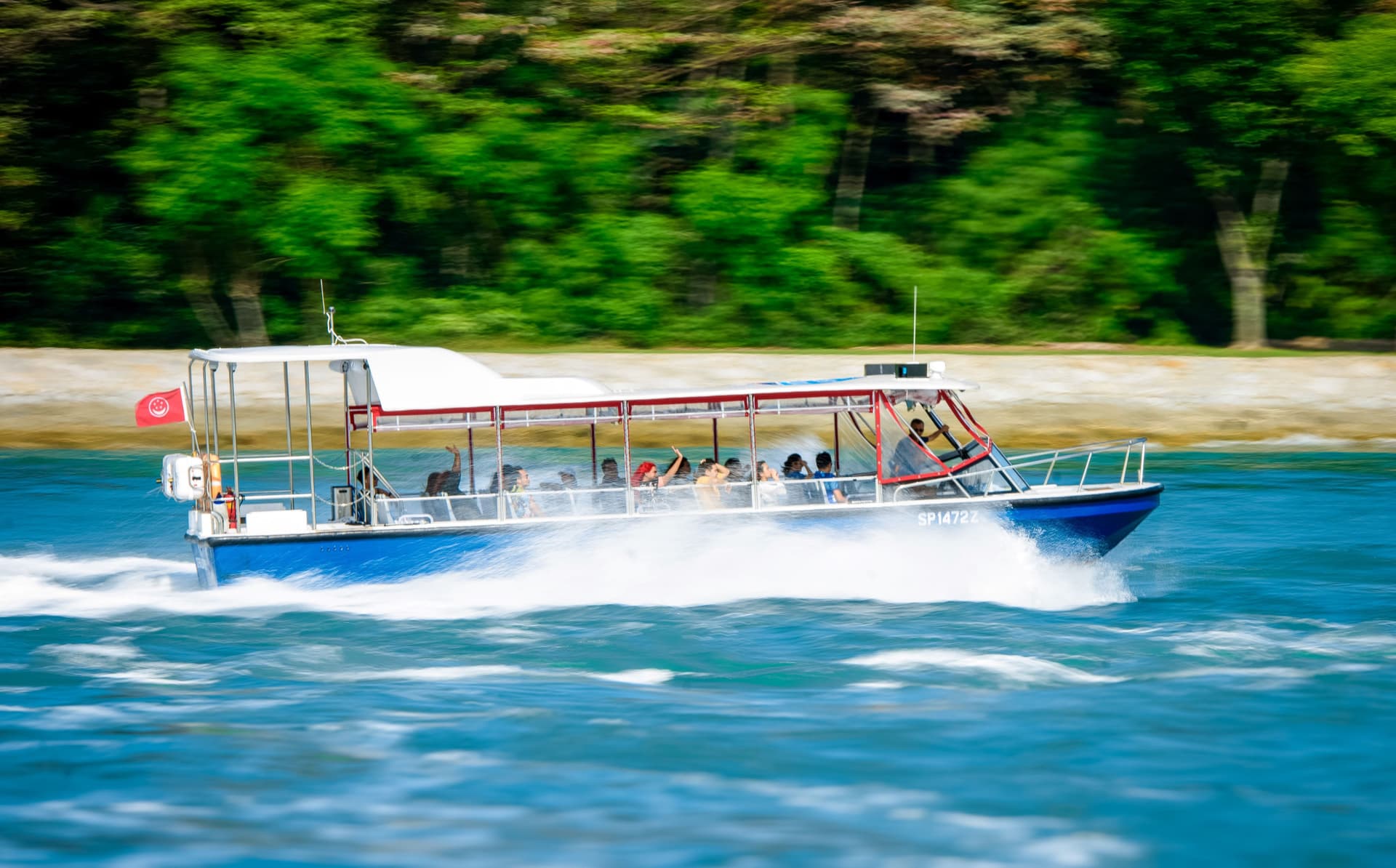 COMBO: Teleférico de Singapur + Oceanarium de Singapur + Entradas para el speedboat Hop-on Hop-off Albatross - imagen 8