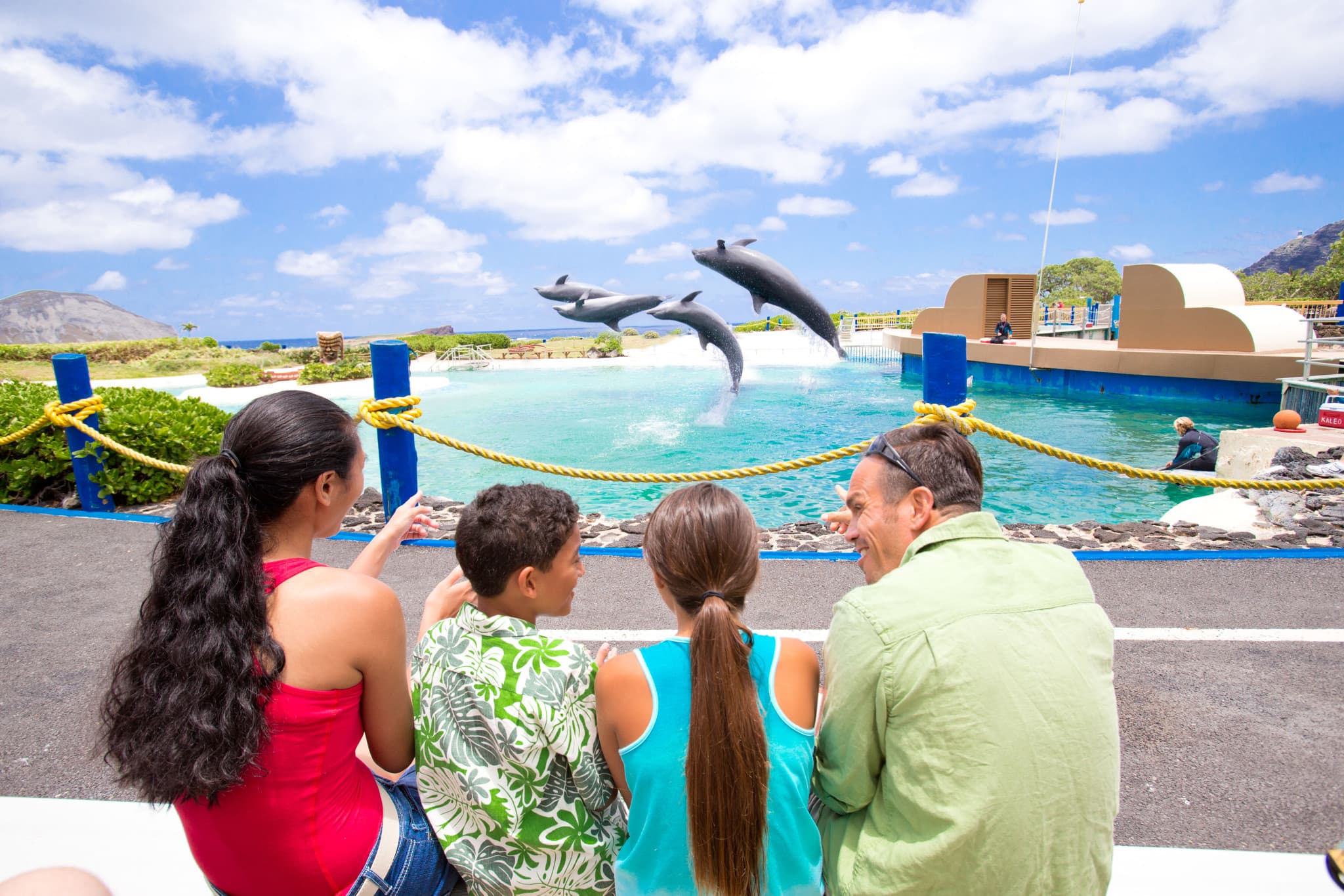 Go City Oahu All-Inclusive Pass: Save up to 50% on Attractions - image 36