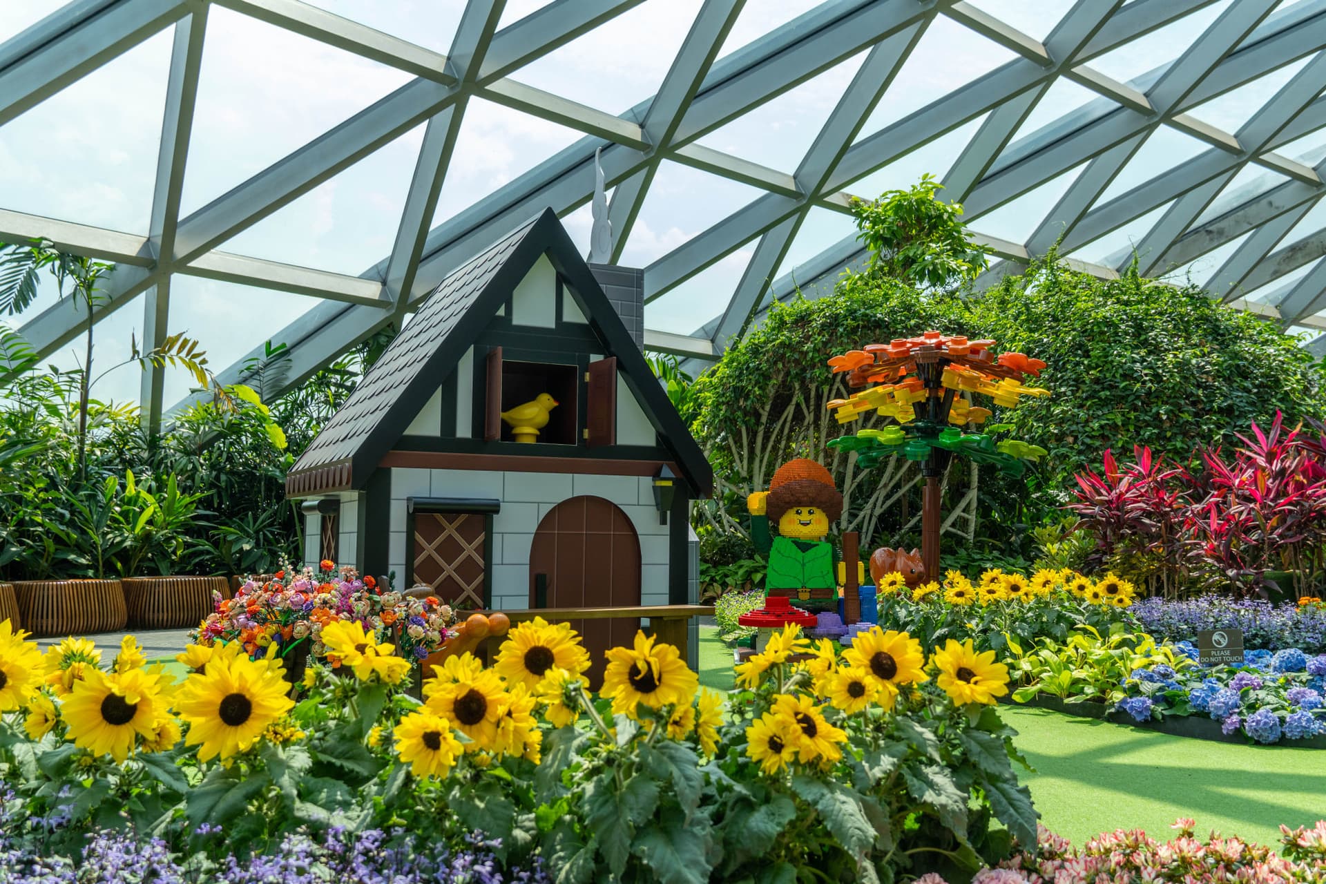 Atracciones de Jewel Changi Airport - imagen 20