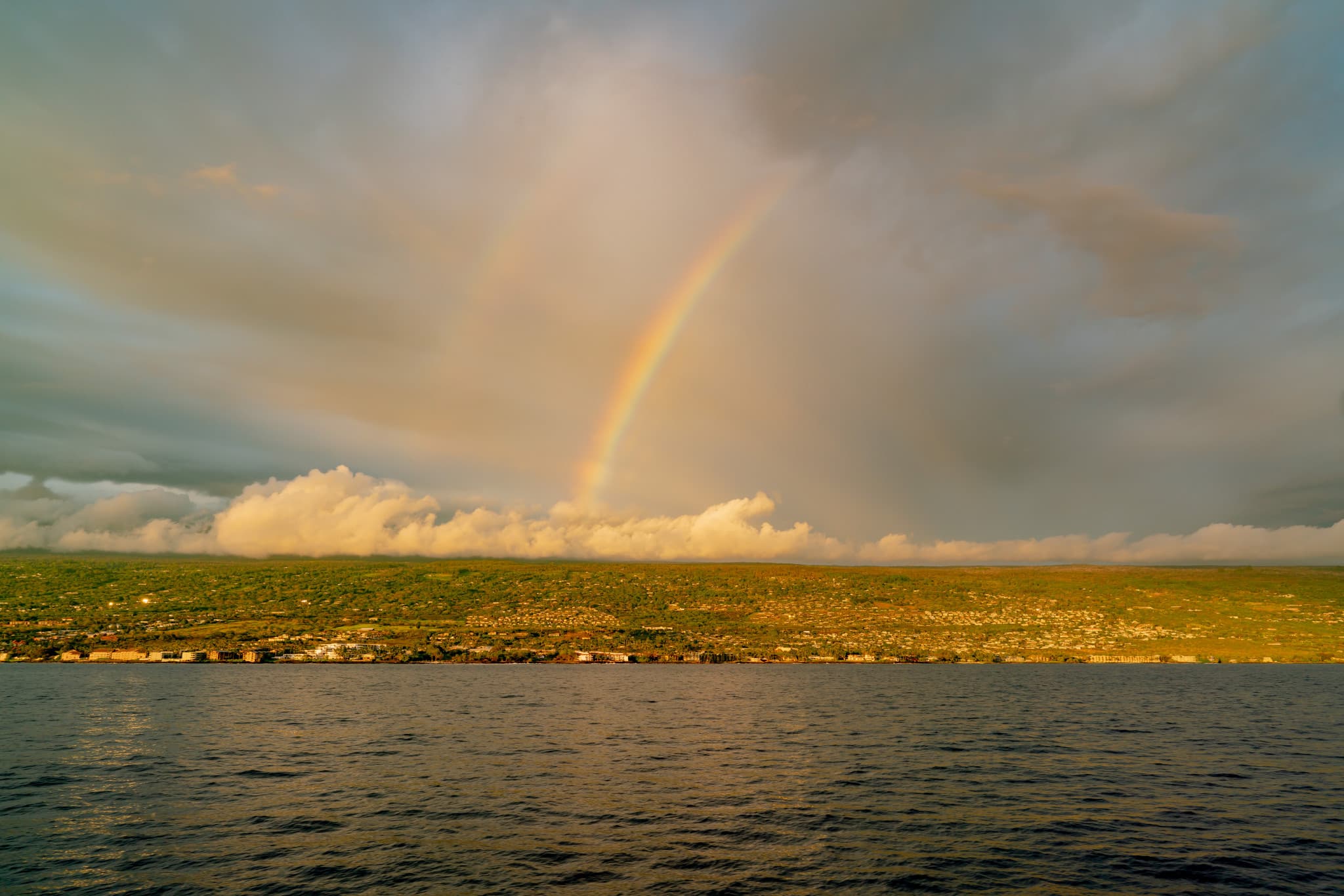Dinner Cruise from Kona Coast to Kealakekua Bay - image 4