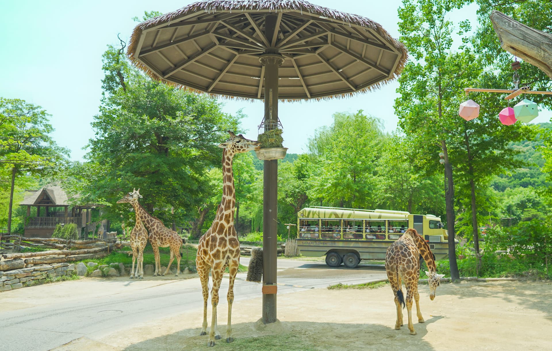 Everland Theme Park with Round Trip Transfers from Seoul - image 16