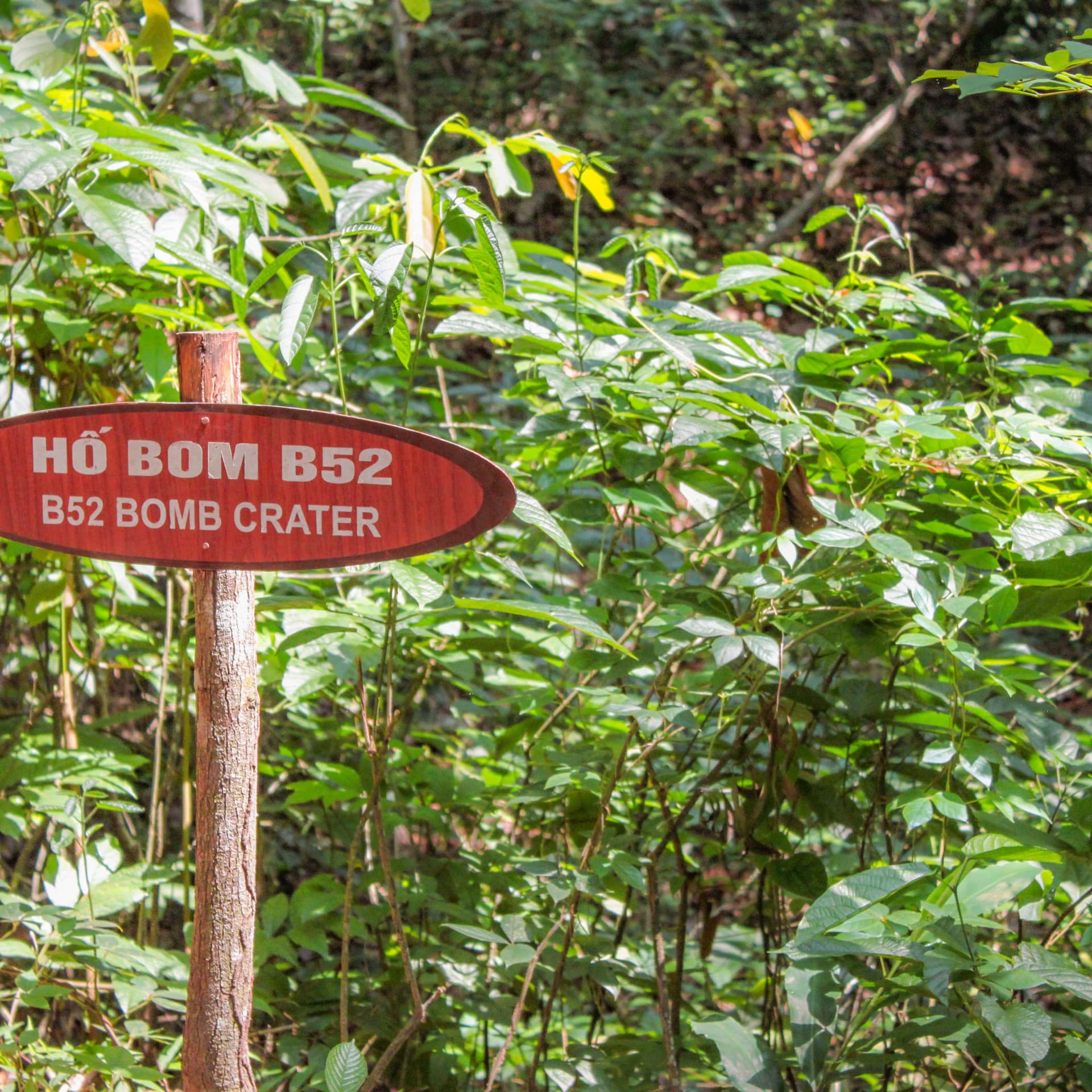 Tour de día completo por los túneles de Cu Chi y el delta del Mekong desde Ho Chi Minh - imagen 8