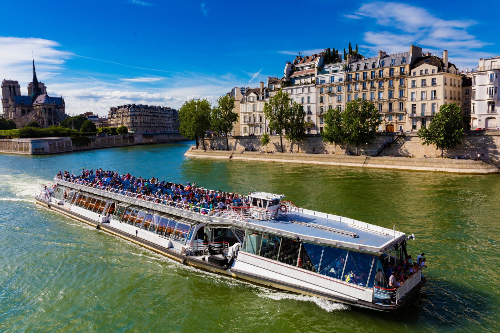 Seine River Sightseeing Cruise by Bateaux Mouches - image 8