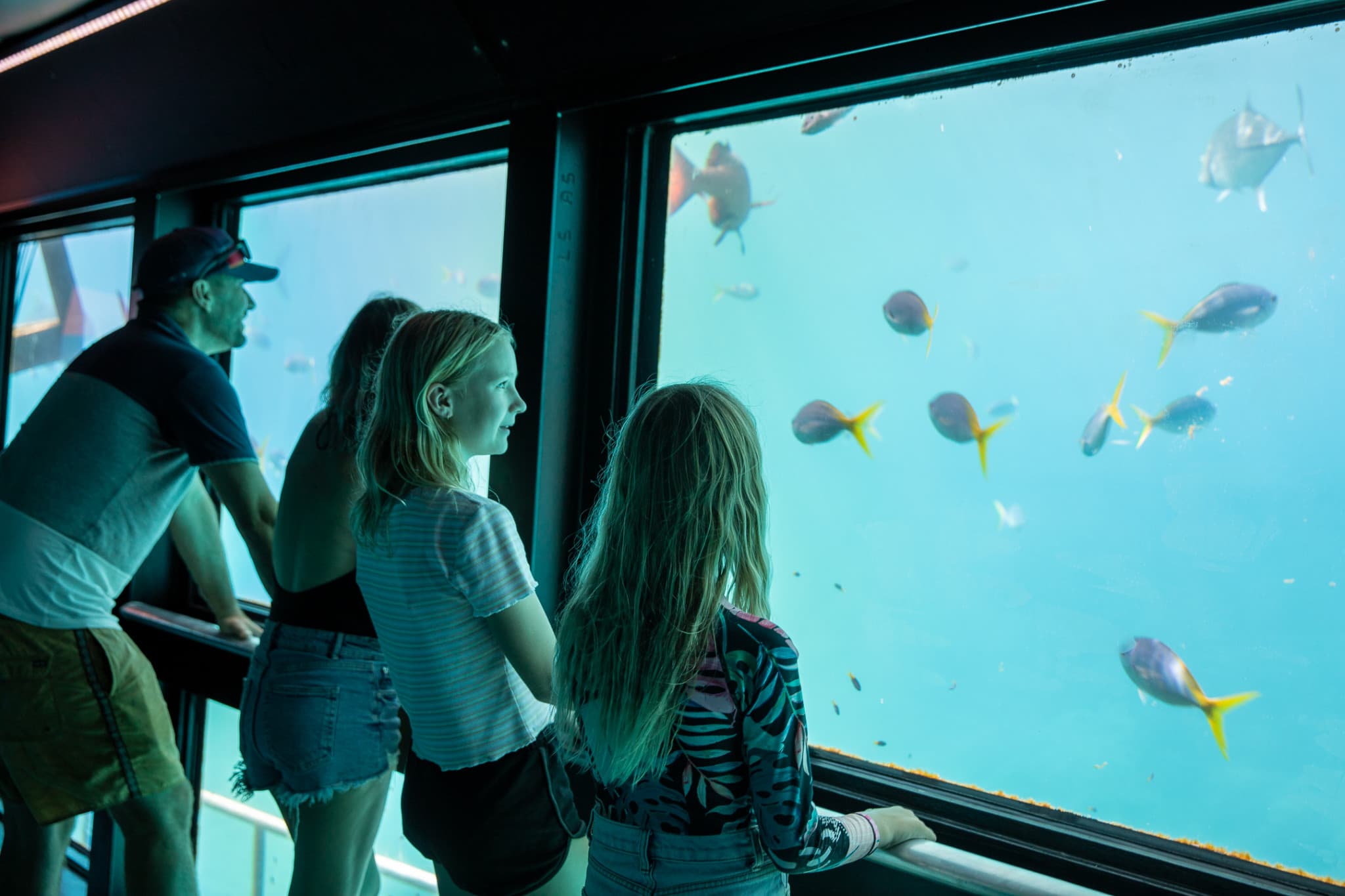 Reef Magic Pontoon Tour from Cairns - image 3