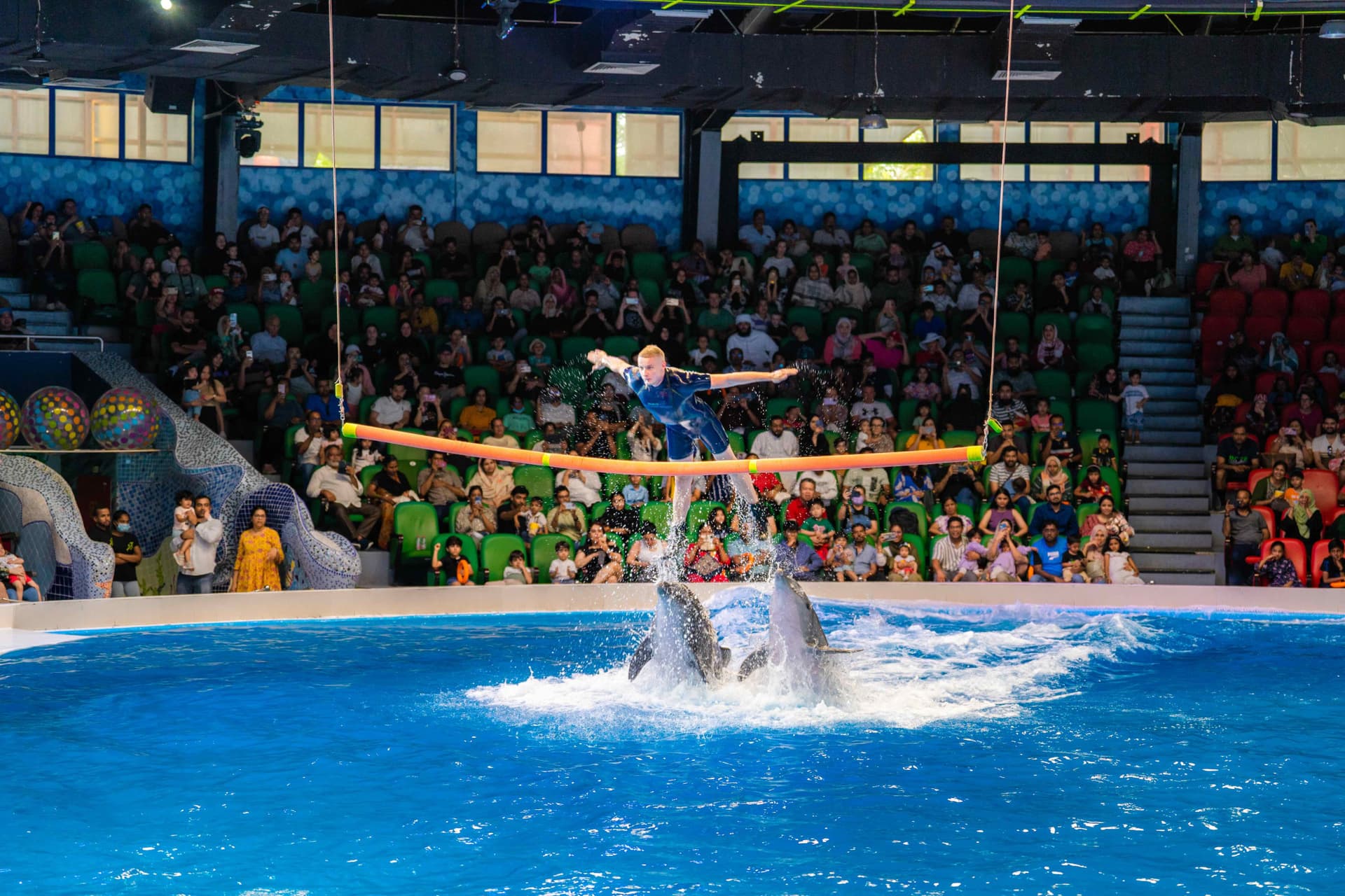 Entrada para Dubai Dolphinarium - imagen 8