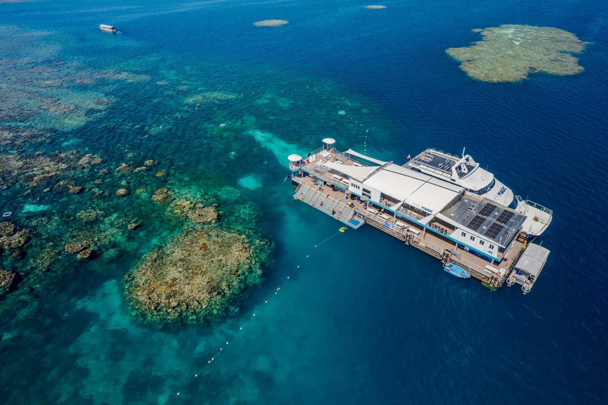 Reef Magic Pontoon Tour from Cairns - image 9