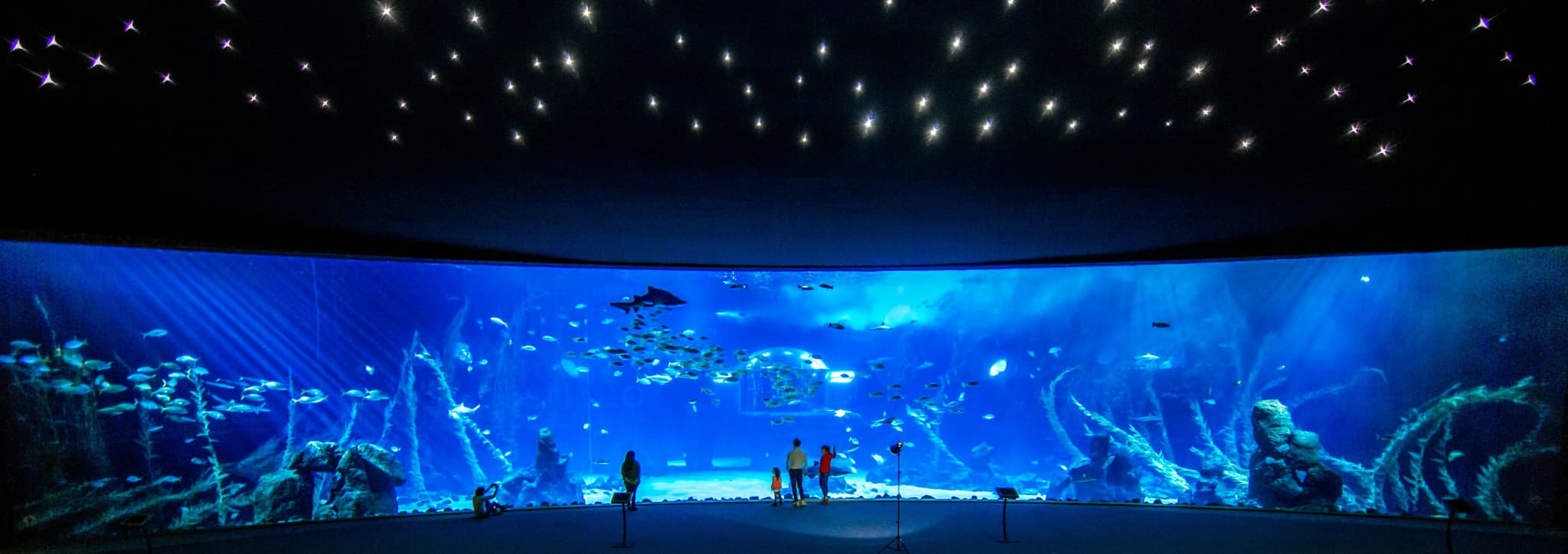 Poema del Mar - Aquarium Gran Canaria: Skip The Line Ticket - image 2