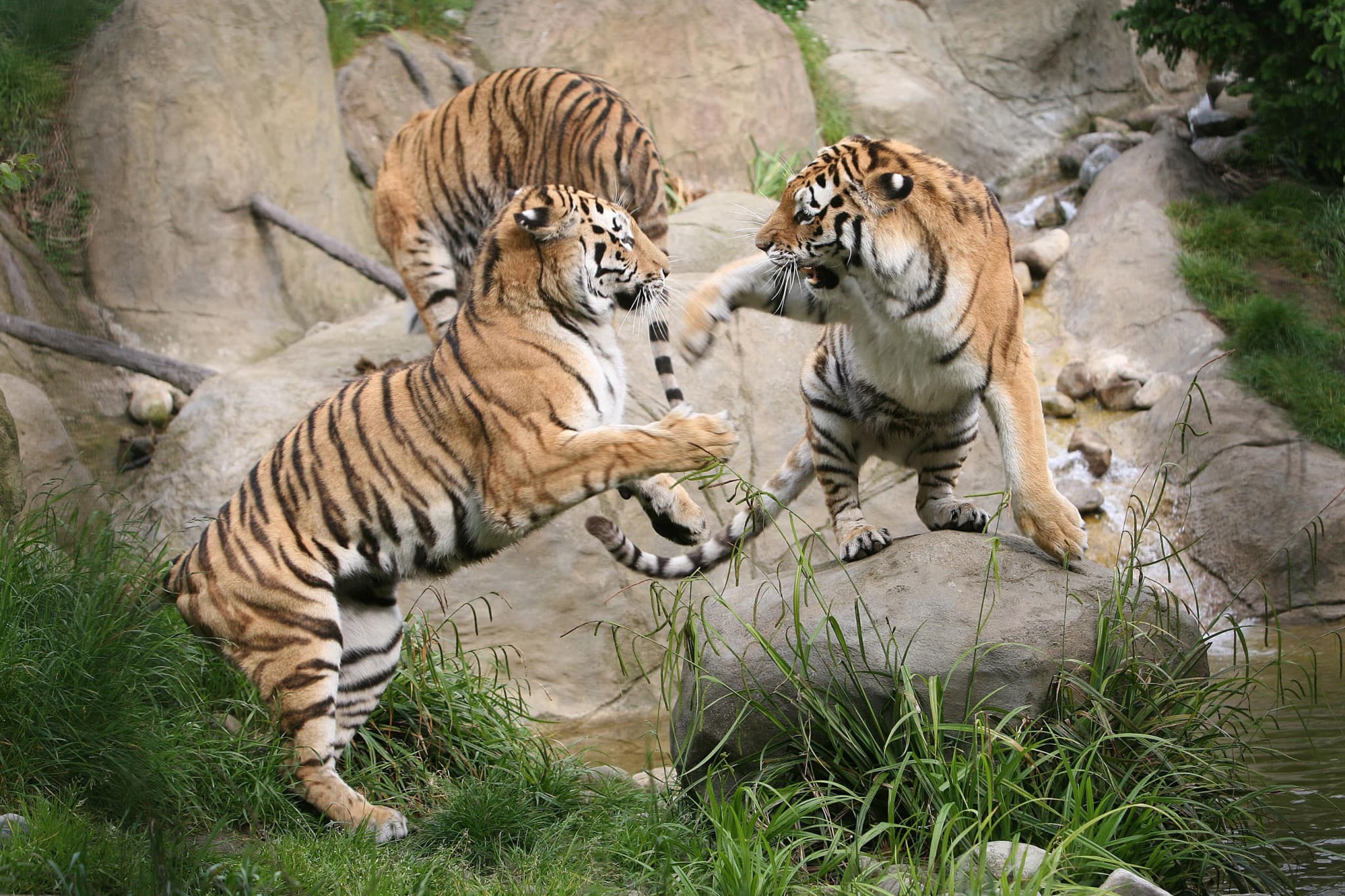 Go City Dublin All-Inclusive Pass: Save up to 50% on Attractions - image 7