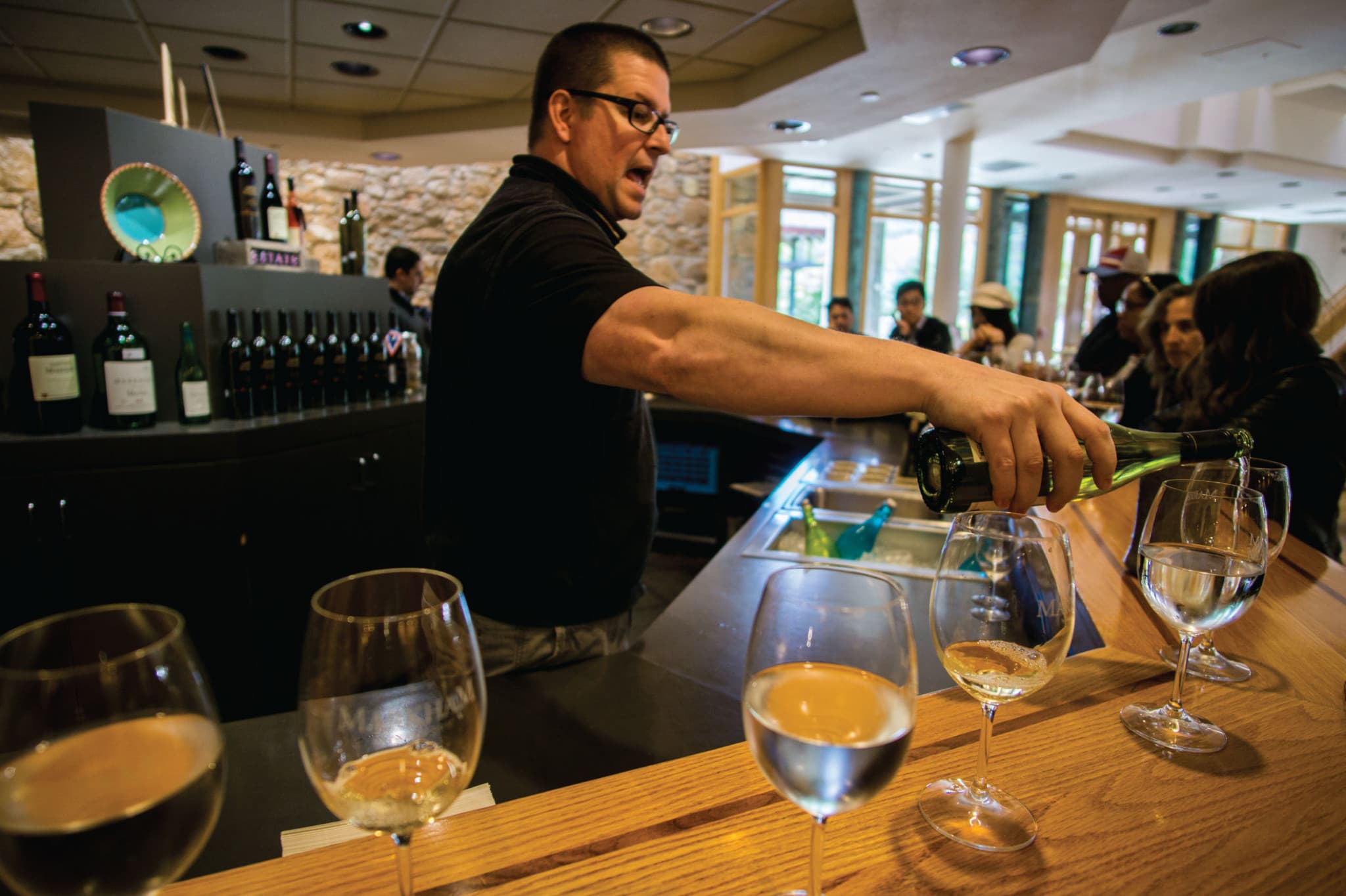 San Francisco Full-Day Wine Country Tour - main image