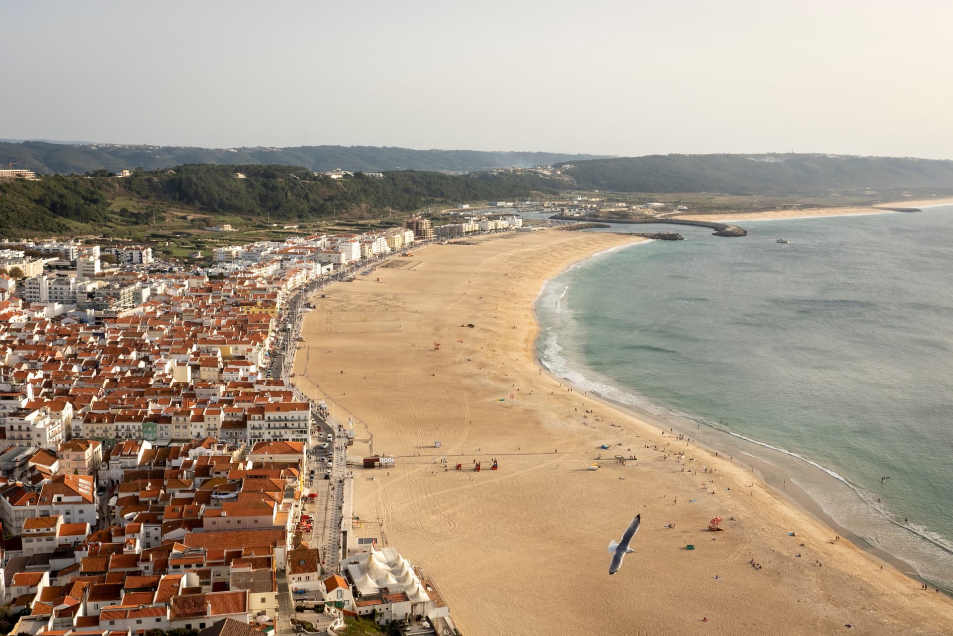Fatima, Nazare, and Sintra Full-Day Tour from Lisbon - image 3