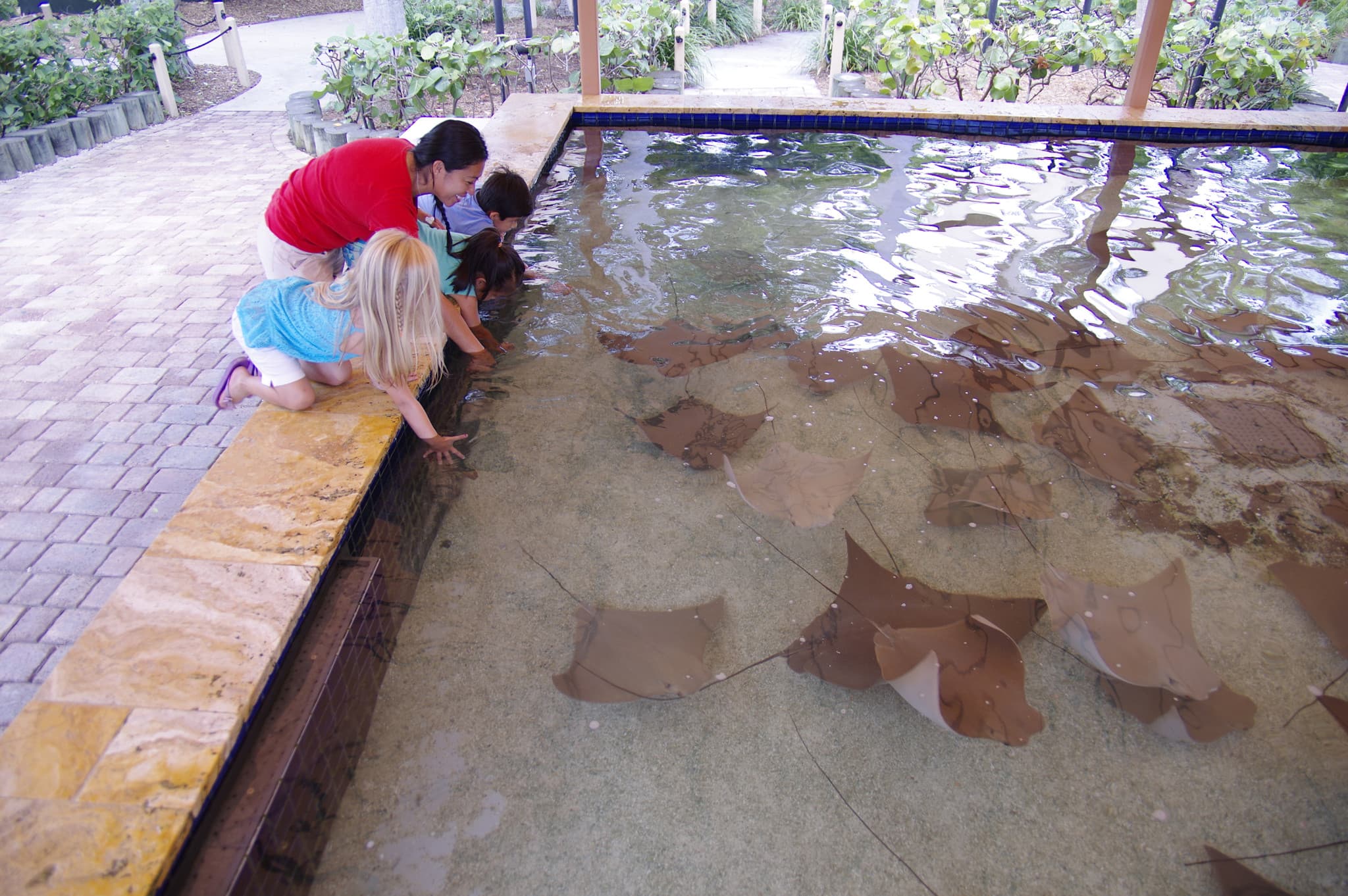 Go City Miami All-Inclusive Pass: Save up to 50% on Attractions - image 26