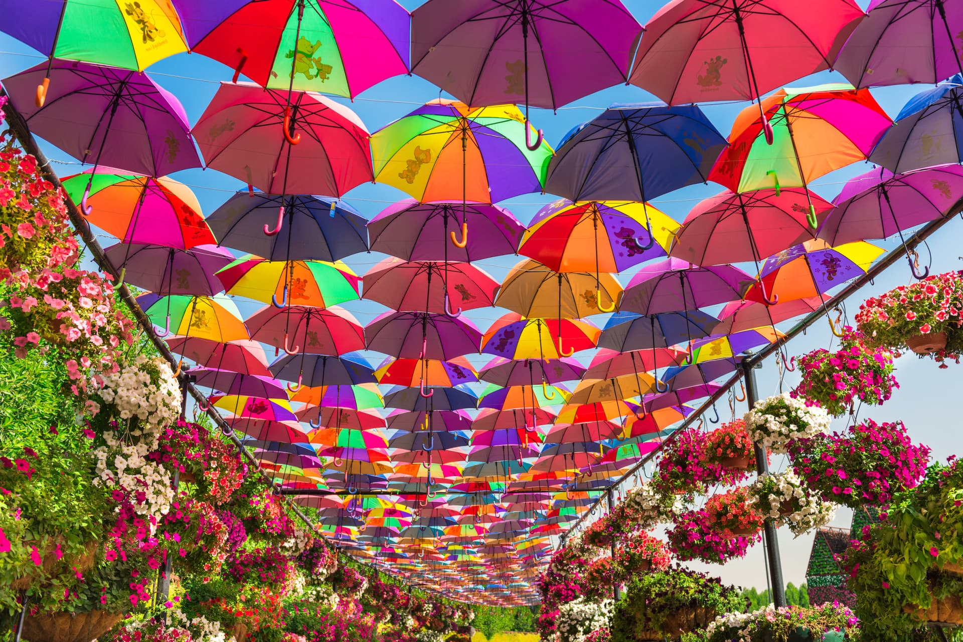 Entrada para Dubai Miracle Garden - imagen 2