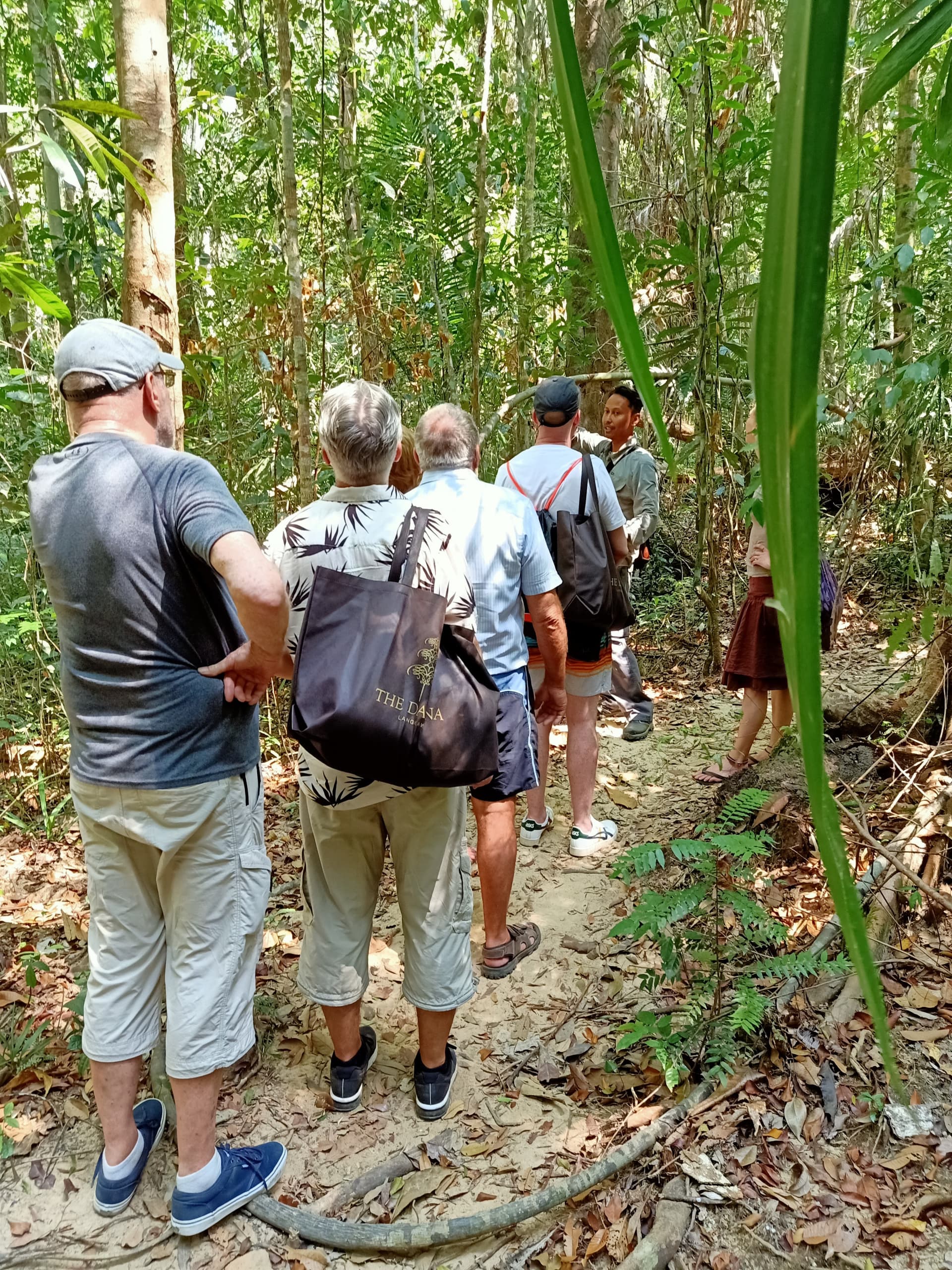 Langkawi Morning Rainforest Walking Tour - image 8