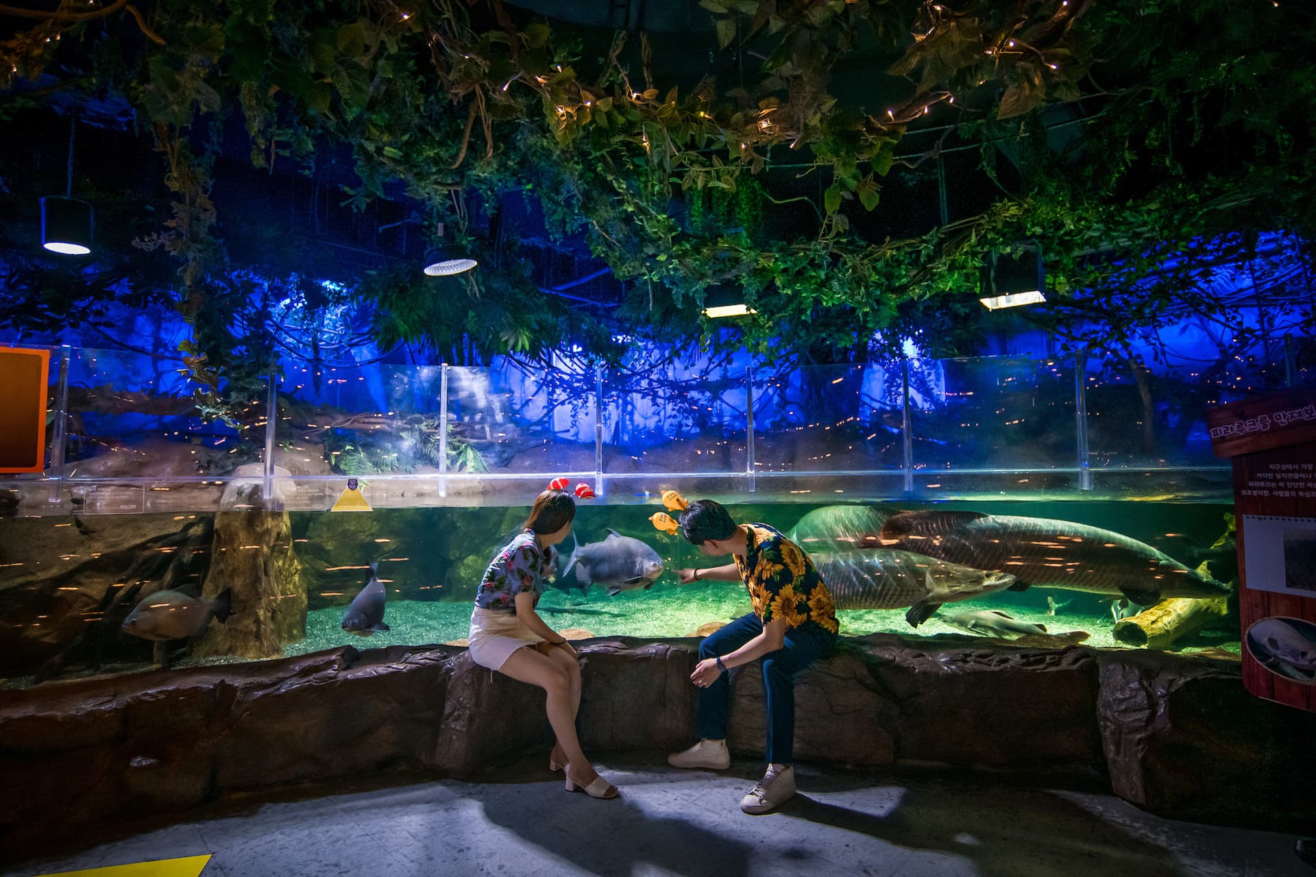 SEA LIFE Busan Aquarium Ticket - image 4