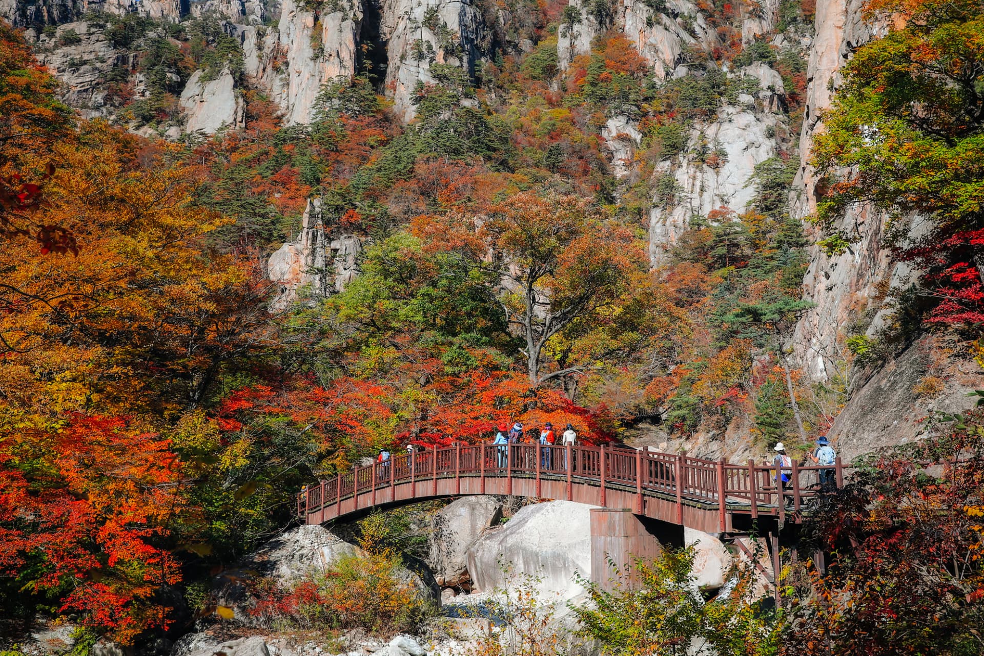 Tour de un día para ver el follaje otoñal en el Parque Nacional del Monte Seorak desde Seúl - imagen 3