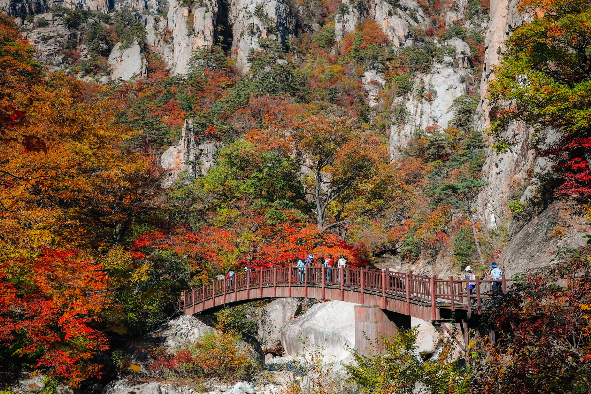 Mt. Seorak National Park Autumn Foliage One Day Tour from Seoul - image 3