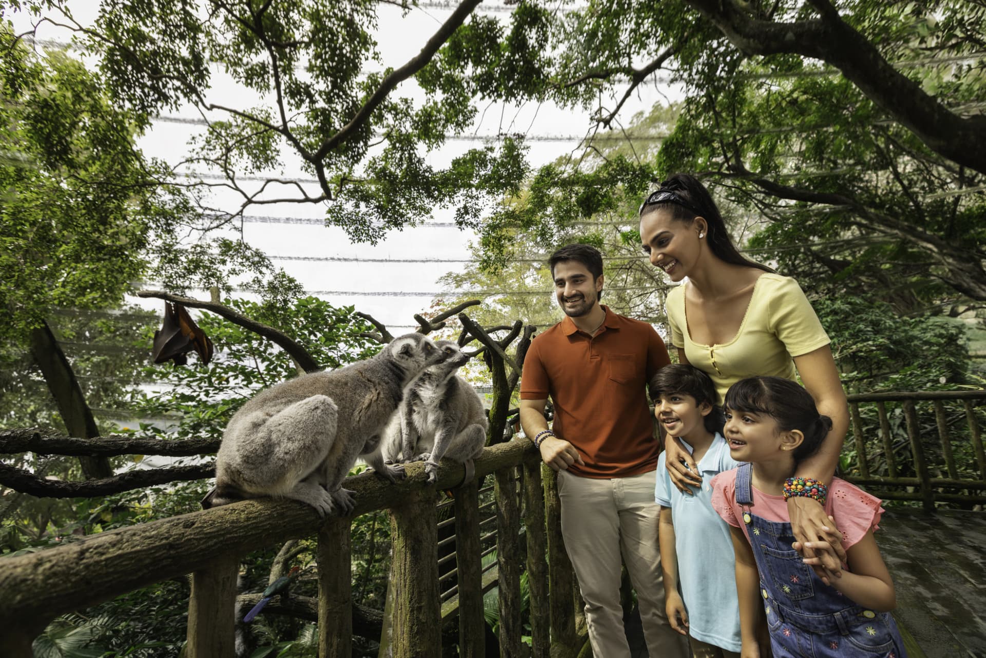 COMBO: Singapore Zoo + Breakfast in the Wild - image 5