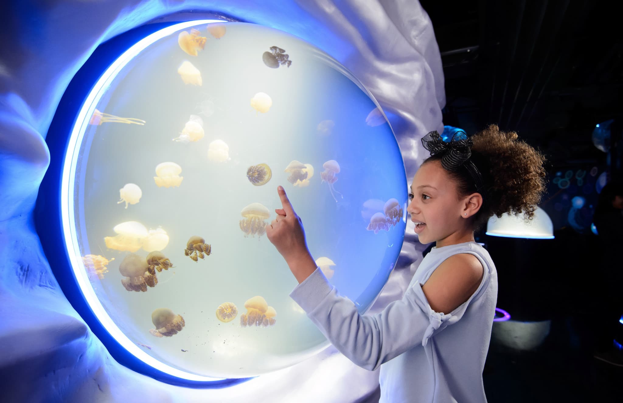 COMBO: Madame Tussauds London + SEA LIFE London Aquarium Ticket - image 14