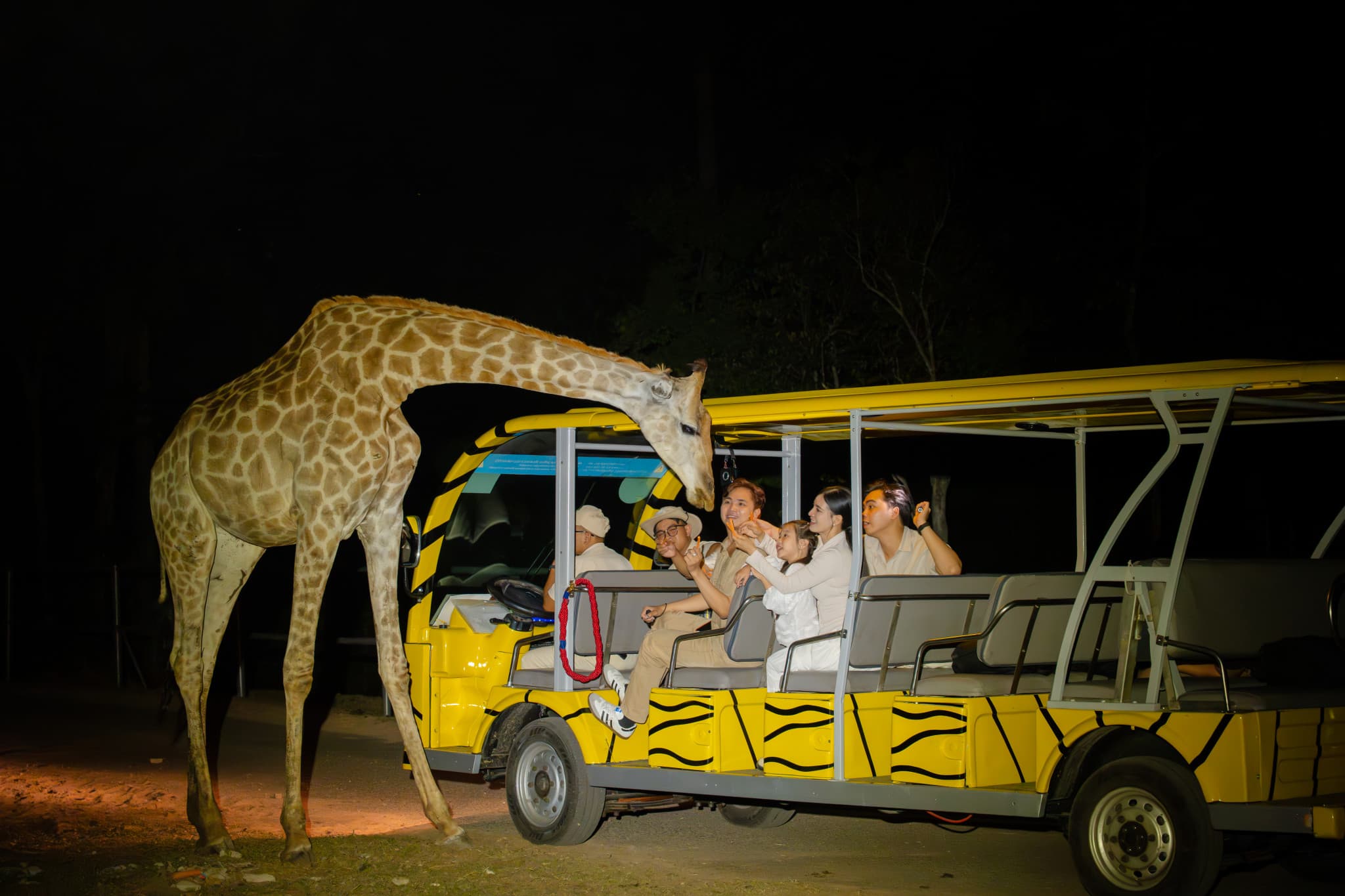 Vinpearl Safari Phu Quoc Ticket - image 19