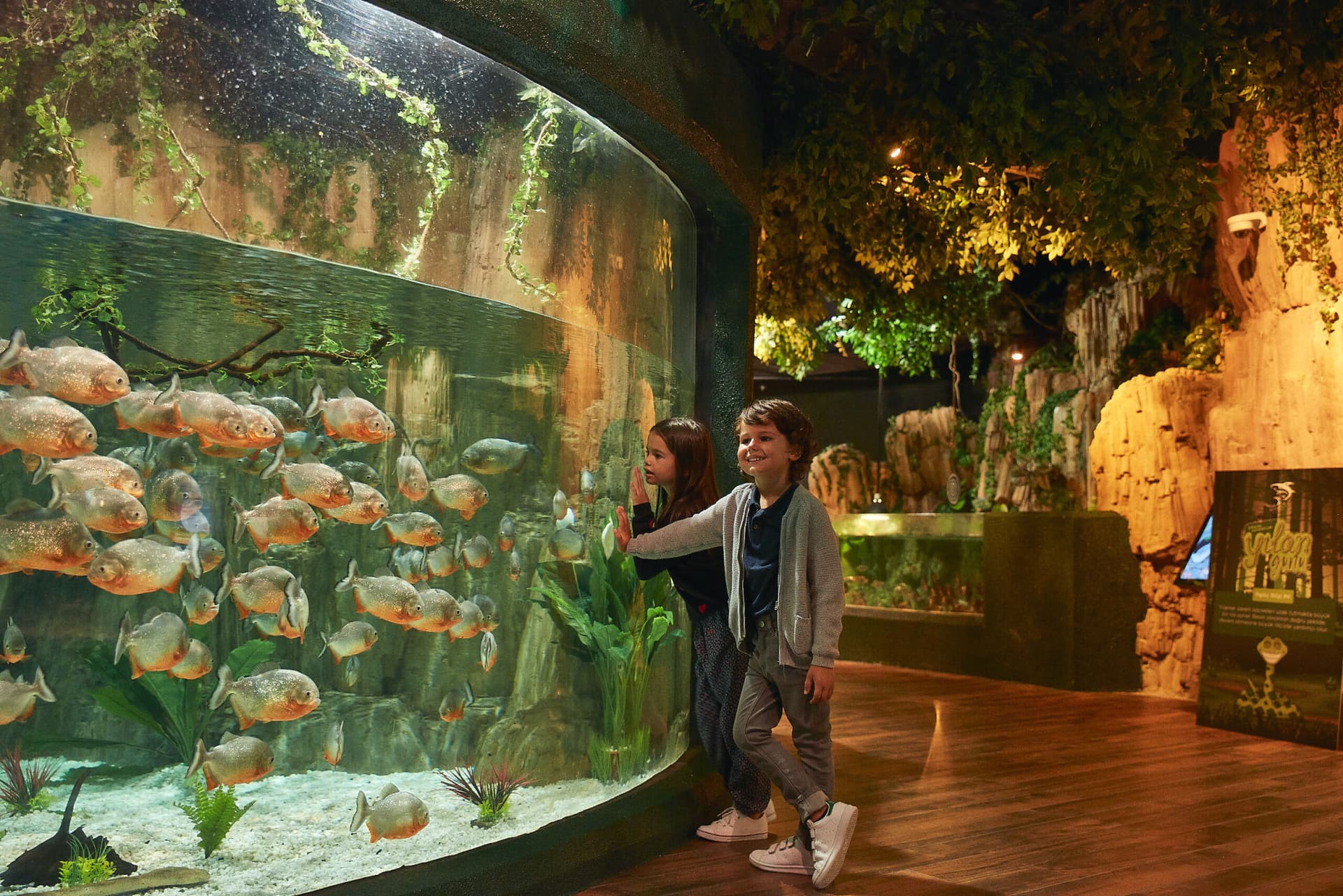 Emaar Aquarium and Underwater Zoo Ticket - main image