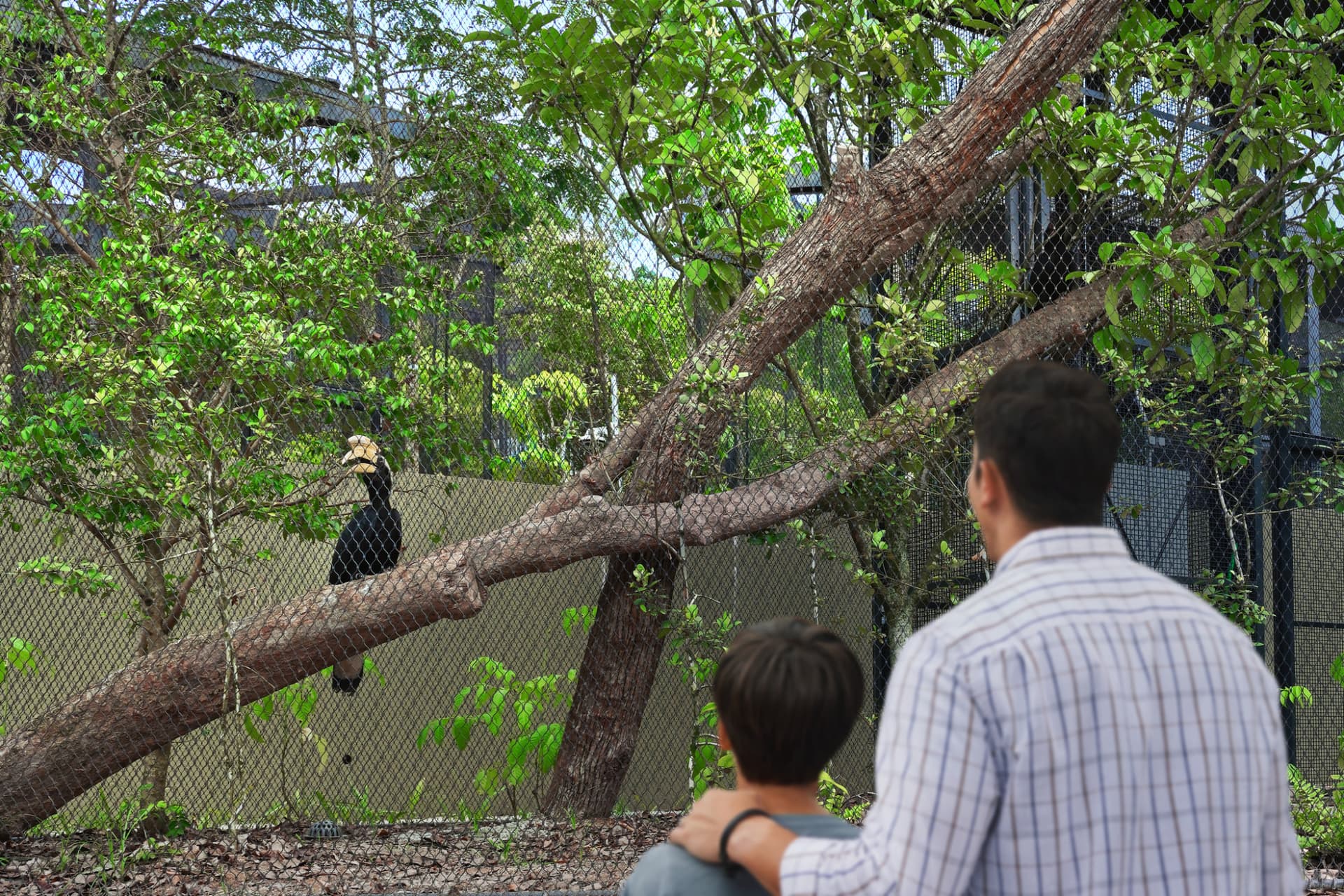 Singapore Bird Paradise Ticket - image 14
