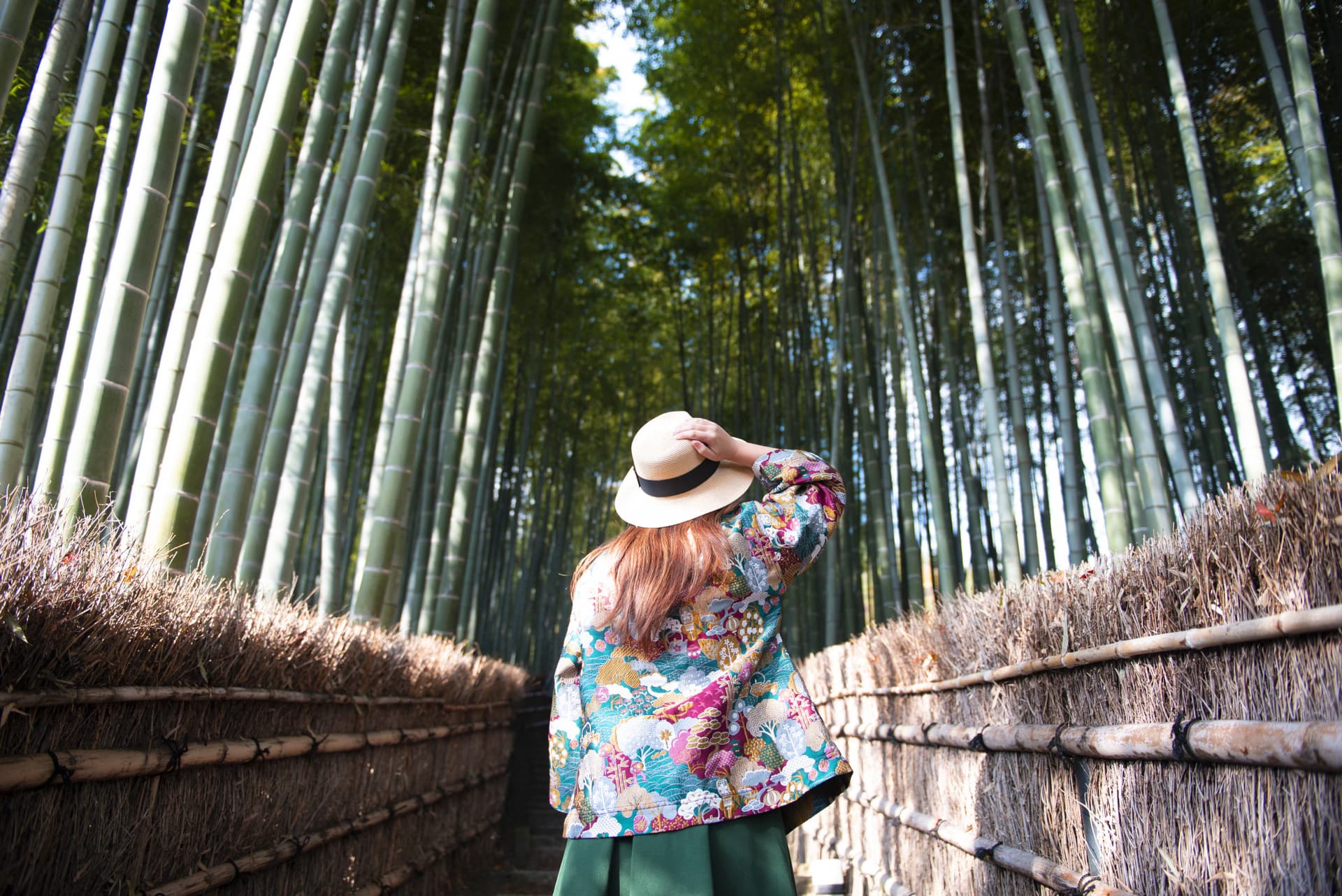 Professional Photo Shoot in Kyoto - image 3