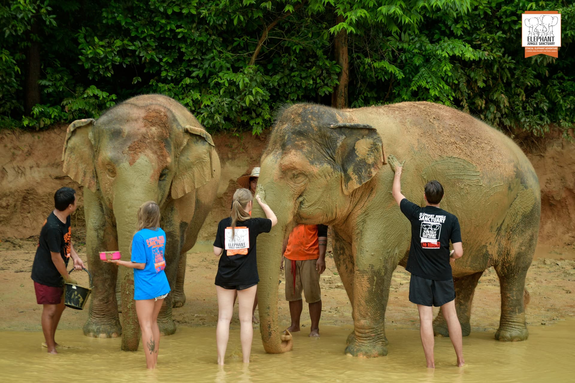 Elephant Jungle Sanctuary Phuket - image 5