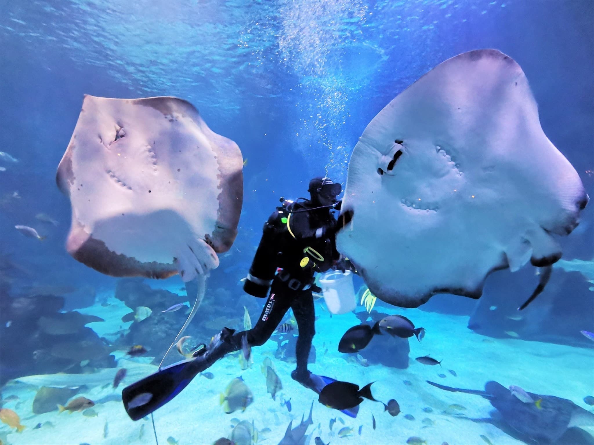 Aquaria Phuket - image 29