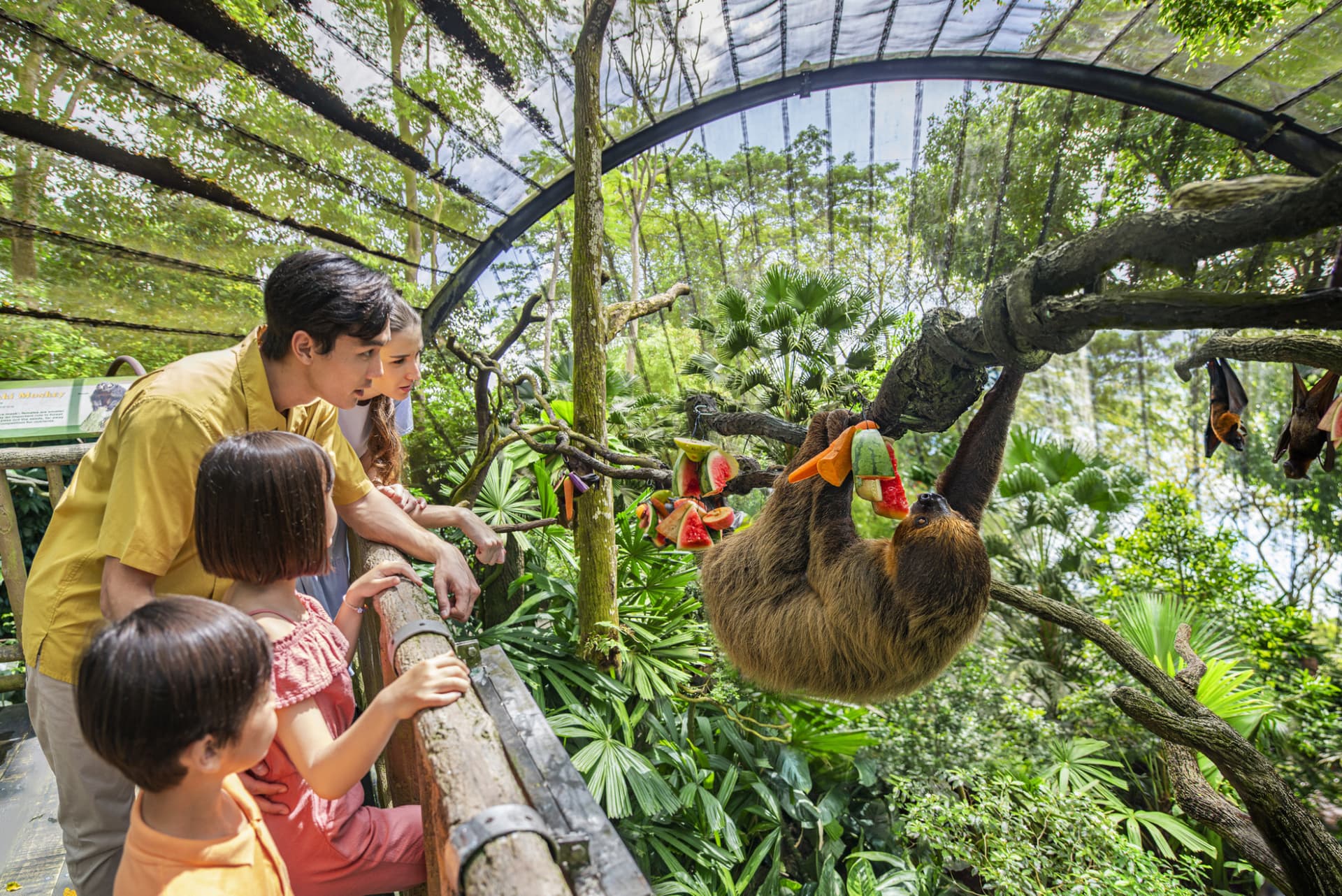 COMBO: Singapore Zoo + Breakfast in the Wild - image 2
