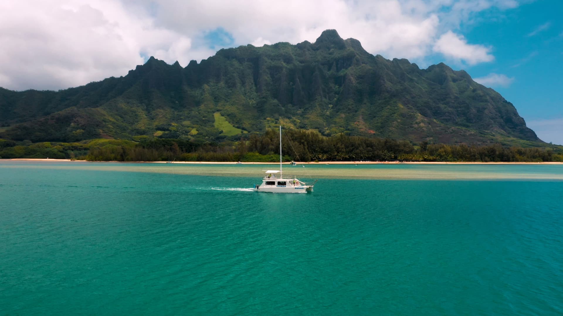 Go City Oahu Explorer Pass: Save up to 50% on Attractions - image 50