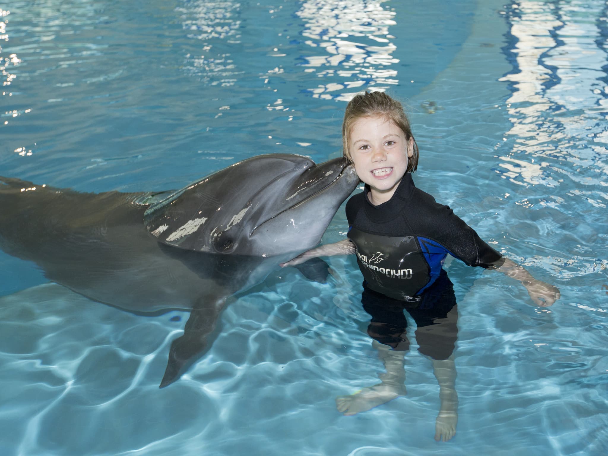 Dubai Dolphinarium Ticket - image 13