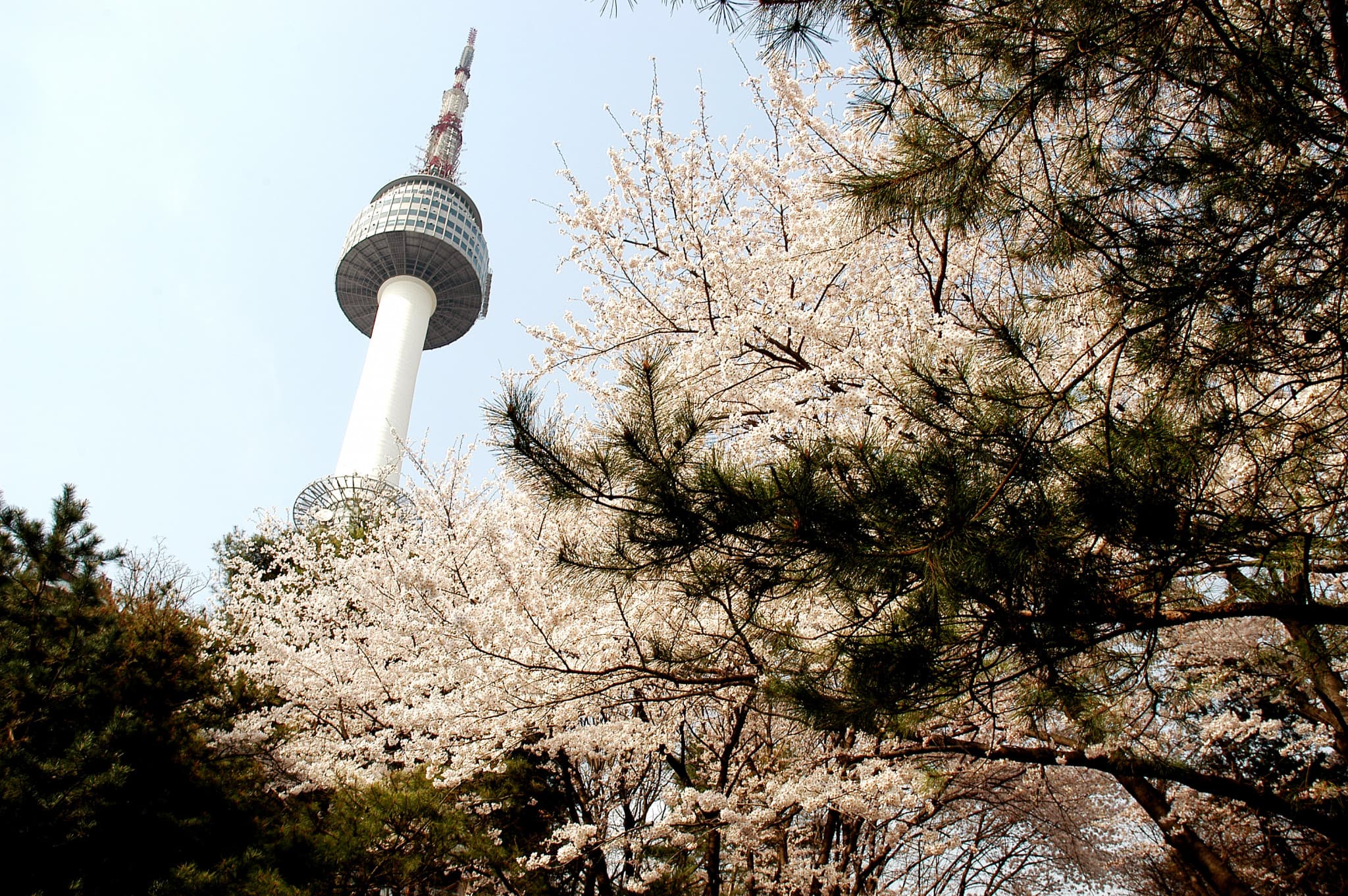 N Seoul Tower Ticket - image 3