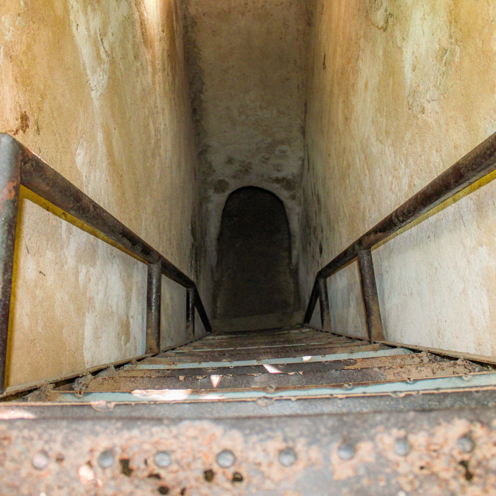 Cu Chi Tunnels and Mekong Delta Full-Day Tour from Ho Chi Minh - image 4