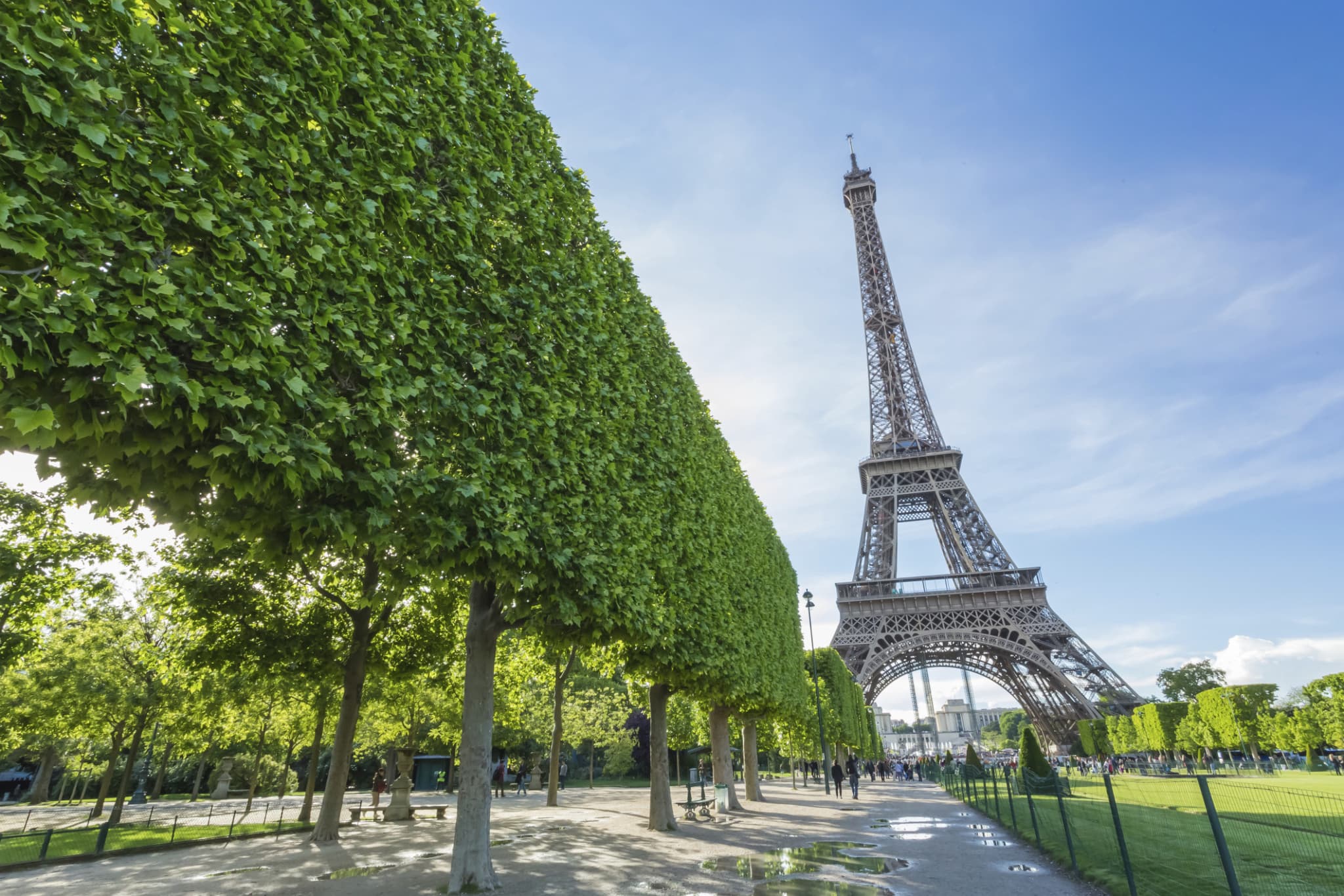 Paris Open-Top Bus Tour, Seine River Cruise, and Eiffel Tower Dining Experience - image 2