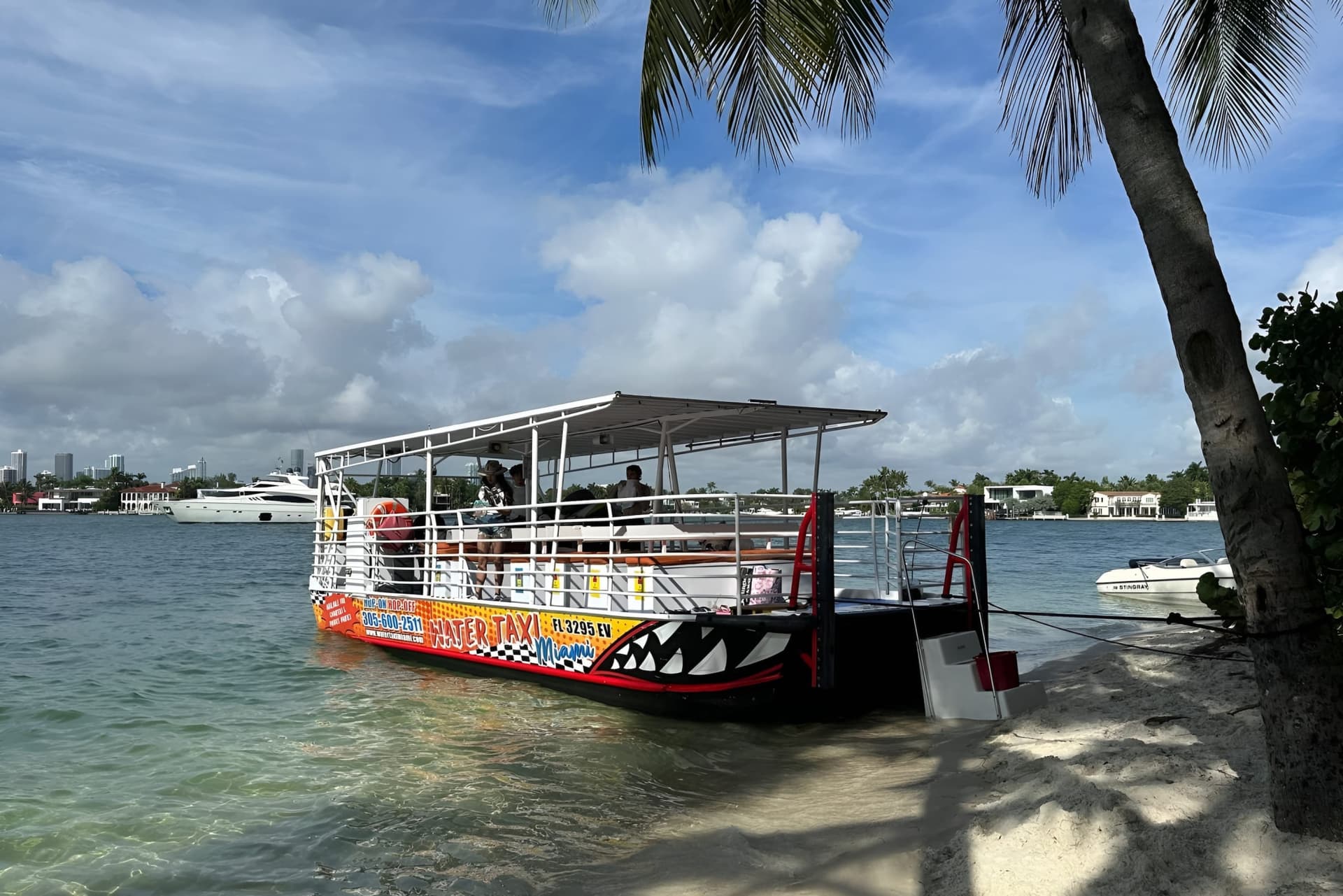 Miami: Snorkeling Adventure off a Secluded Island from South Beach - image 6
